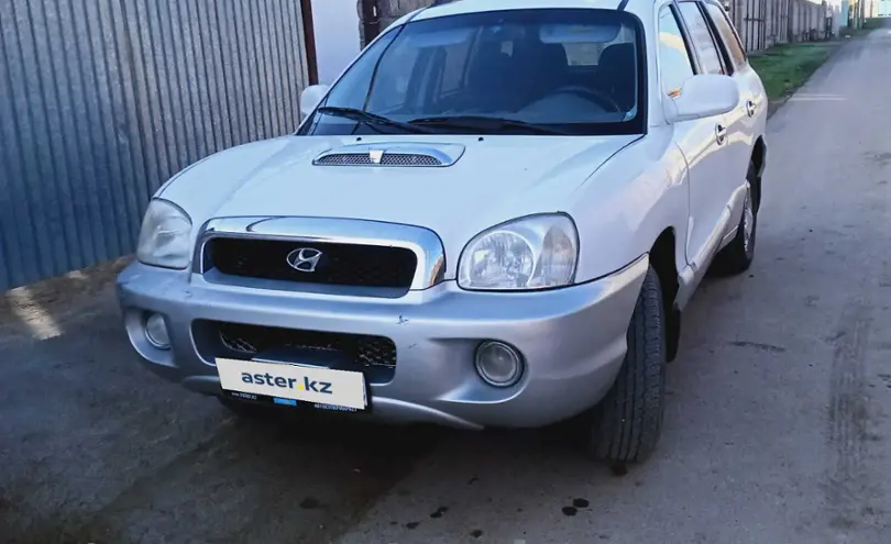 Hyundai Santa Fe 2002 года за 2 800 000 тг. в Туркестанская область