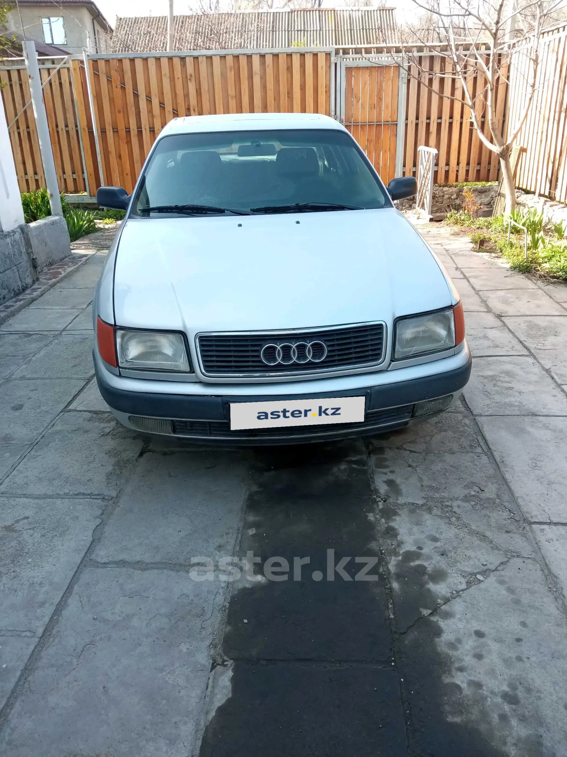 Audi 100 1991