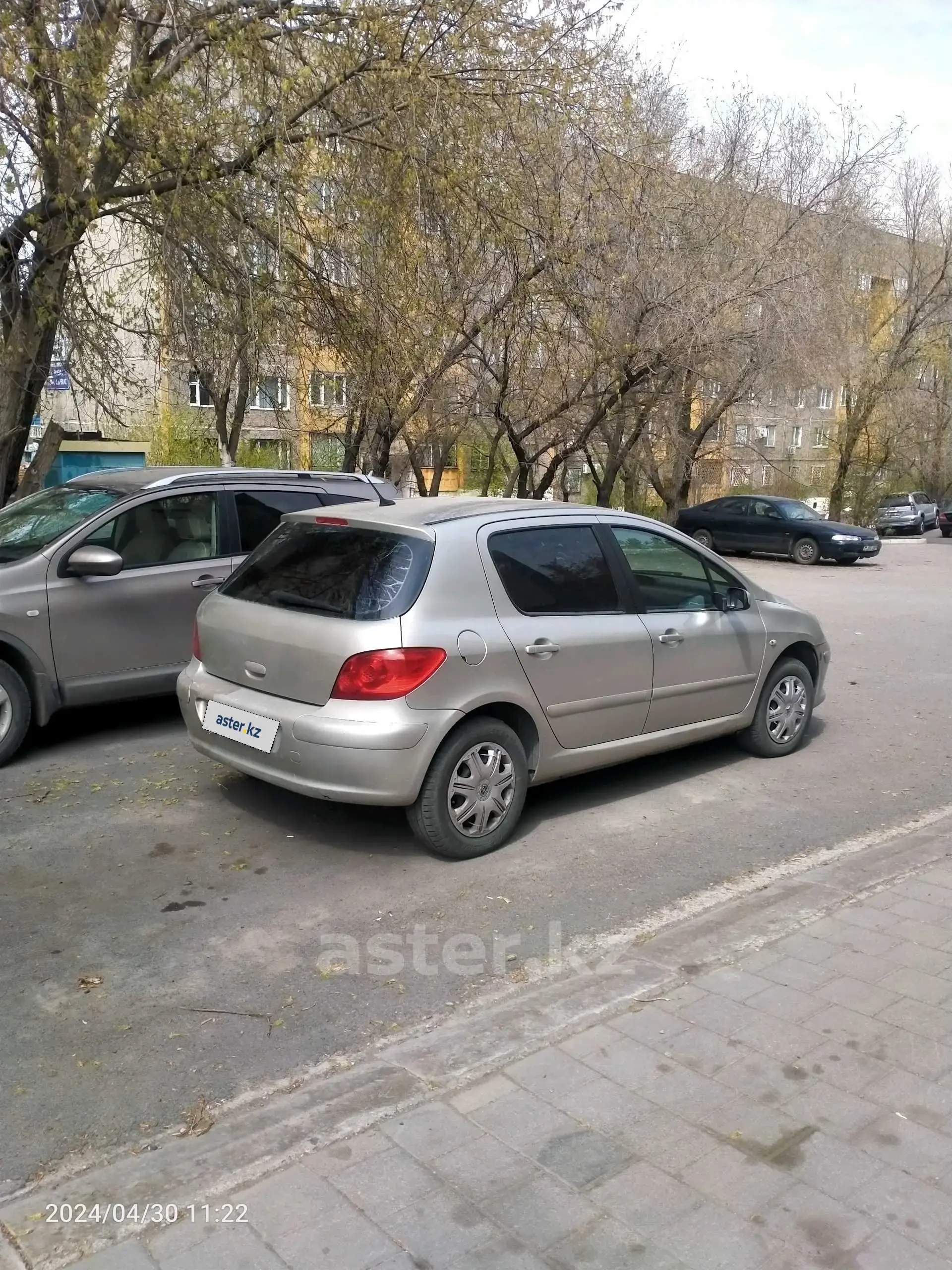 Peugeot 307 2007