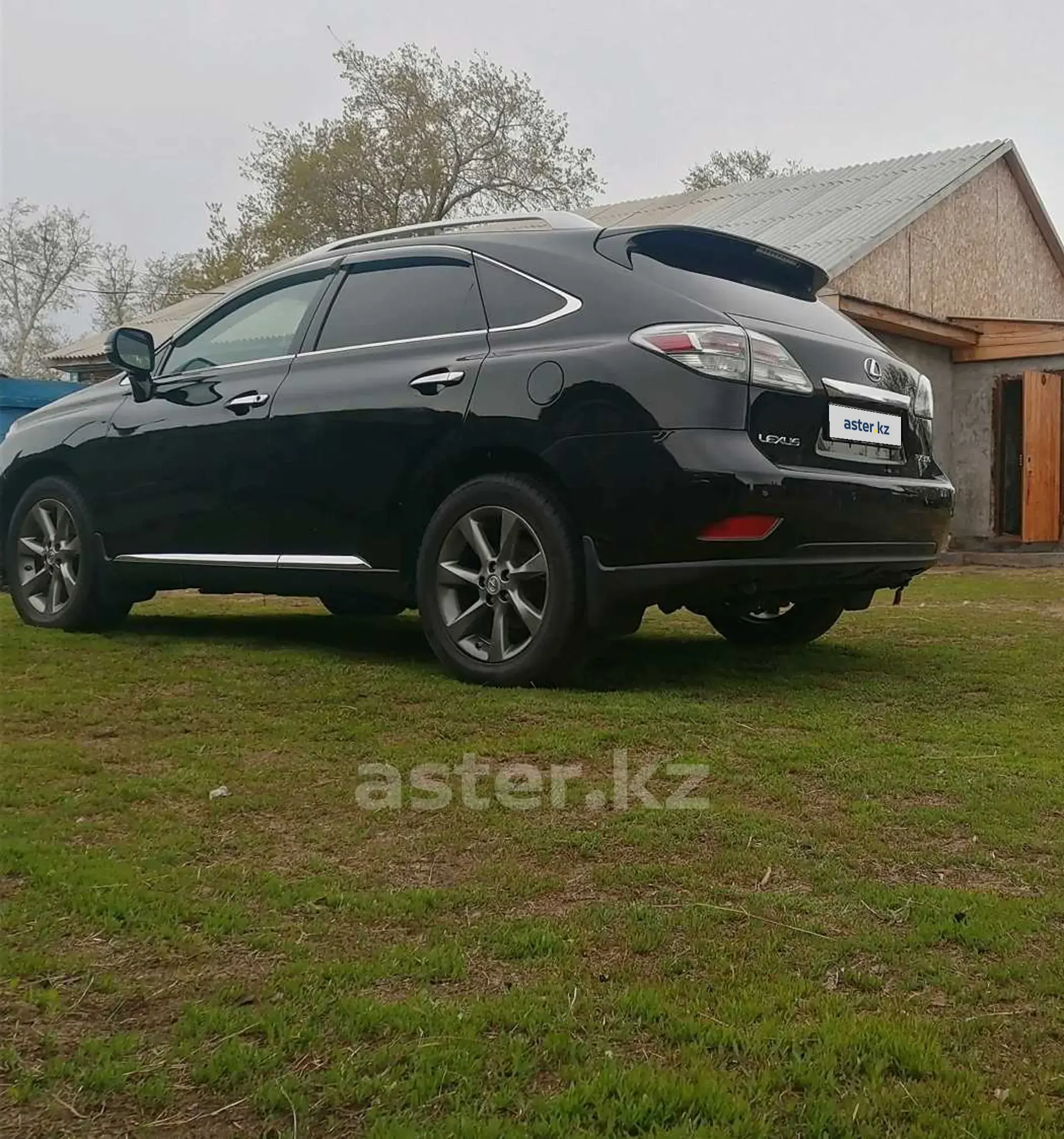 Lexus RX 2010