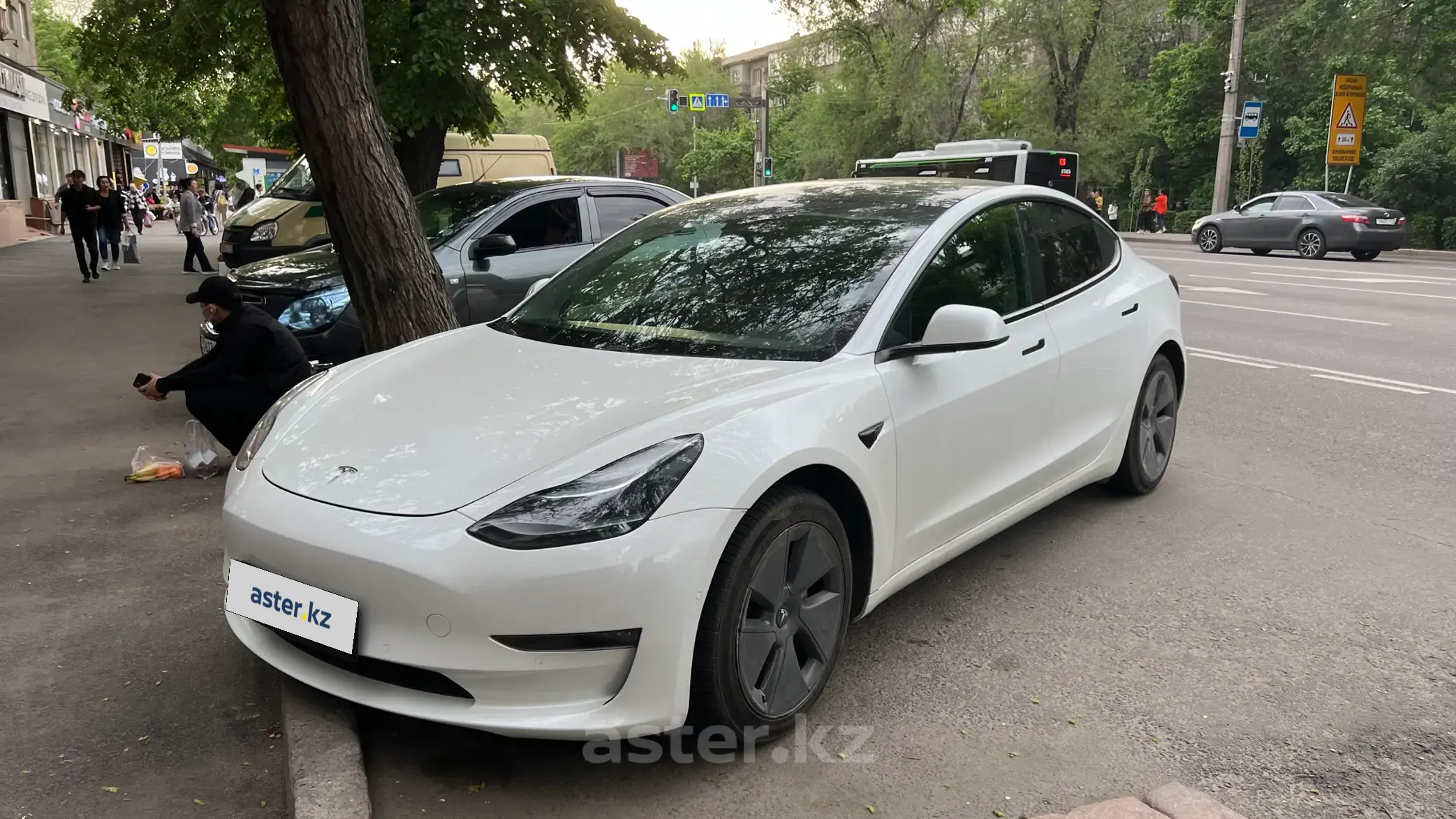 Tesla Model 3 2021