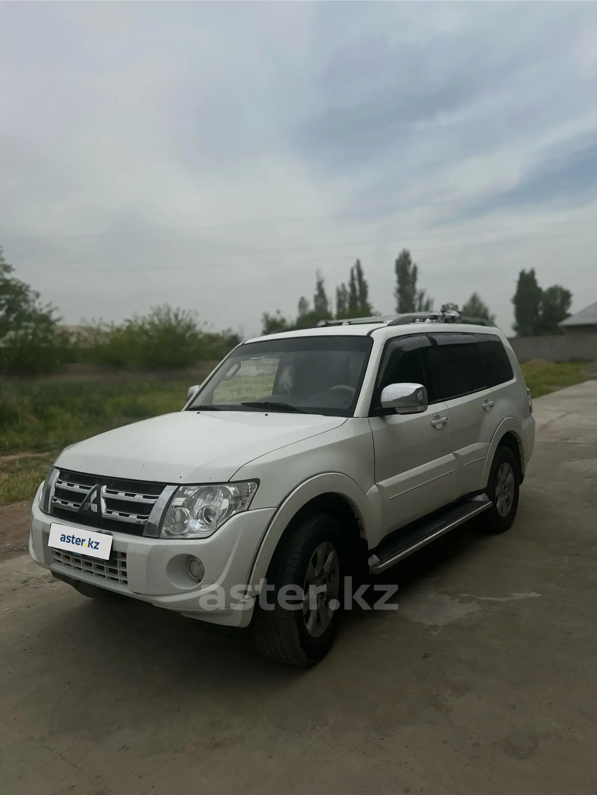 Mitsubishi Pajero 2013