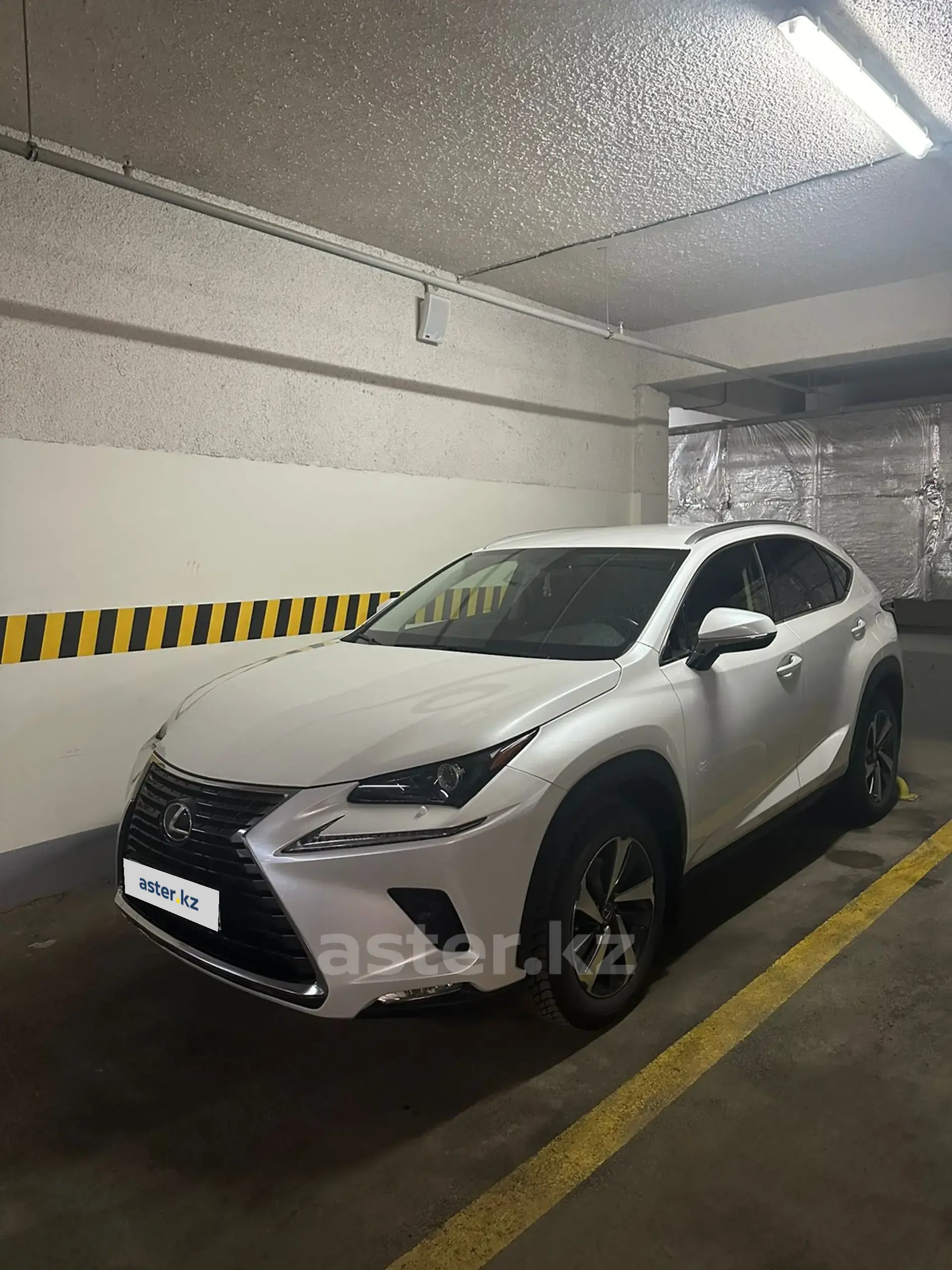 Lexus NX 2019