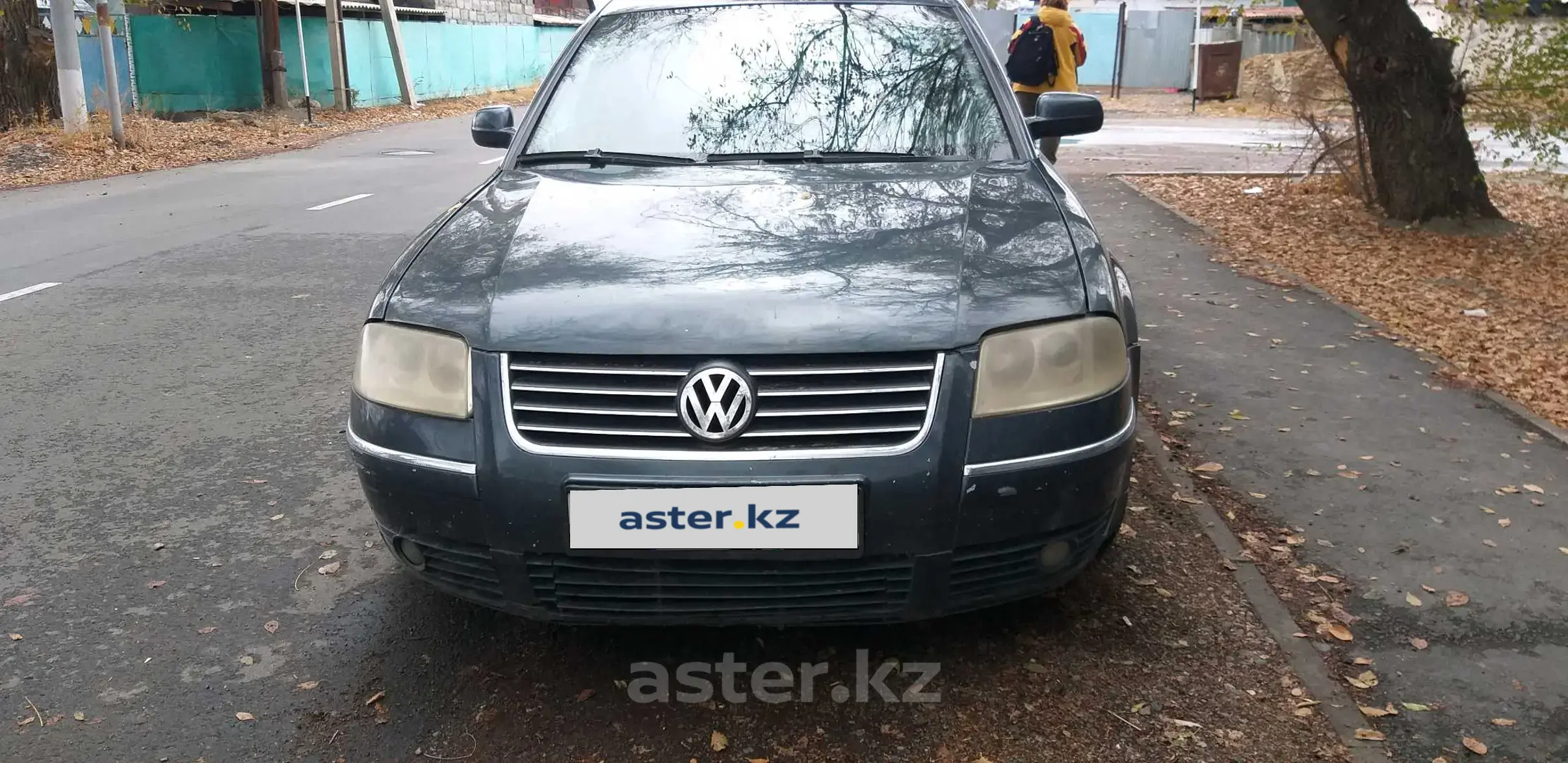 Volkswagen Passat 2002