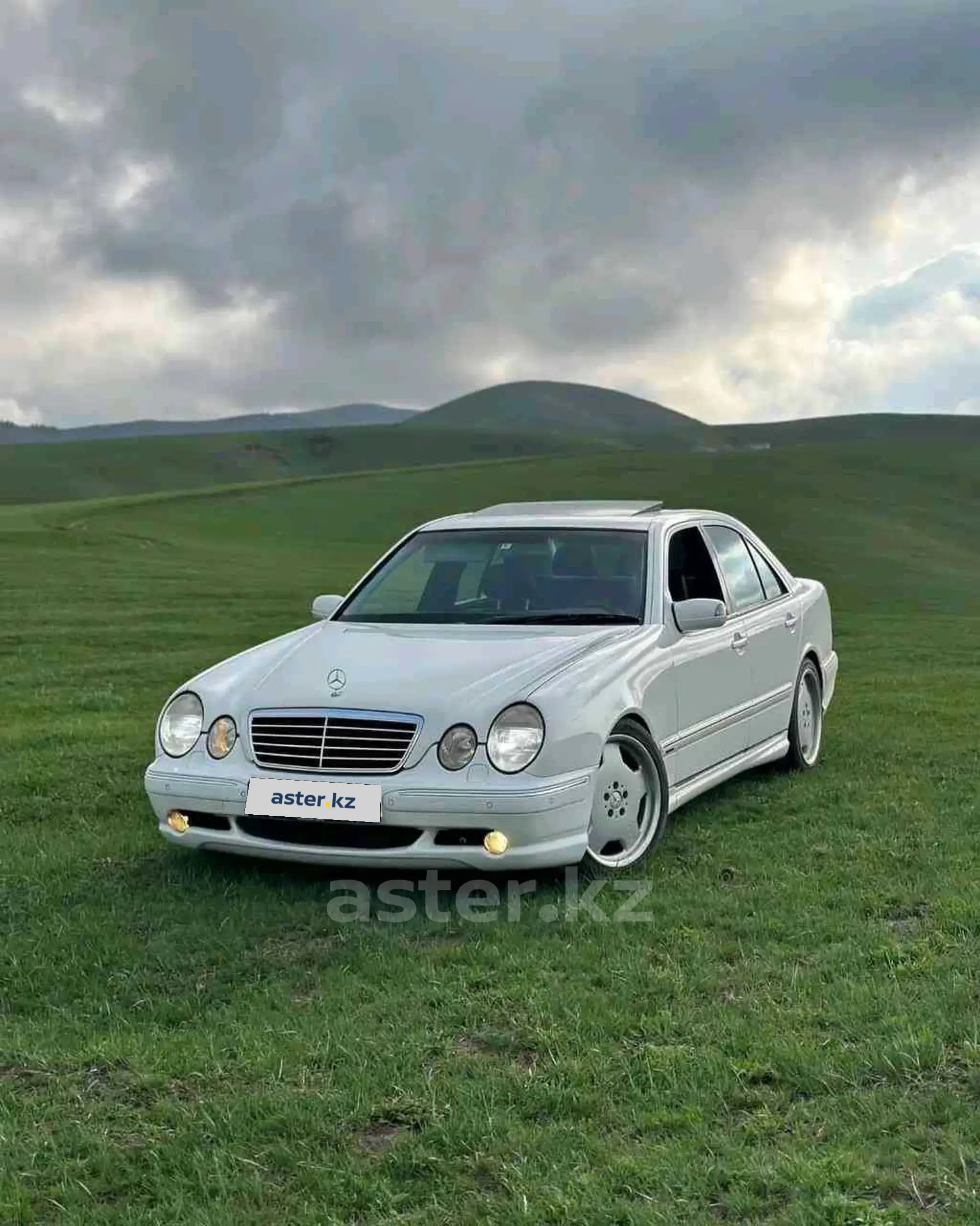 Mercedes-Benz W124 1993