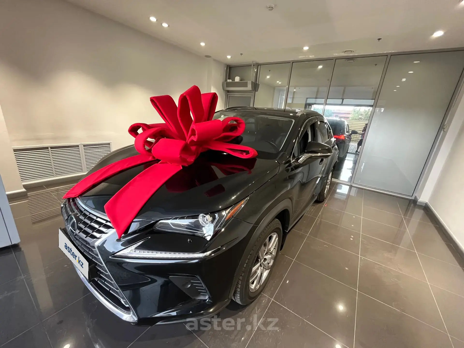 Lexus NX 2021