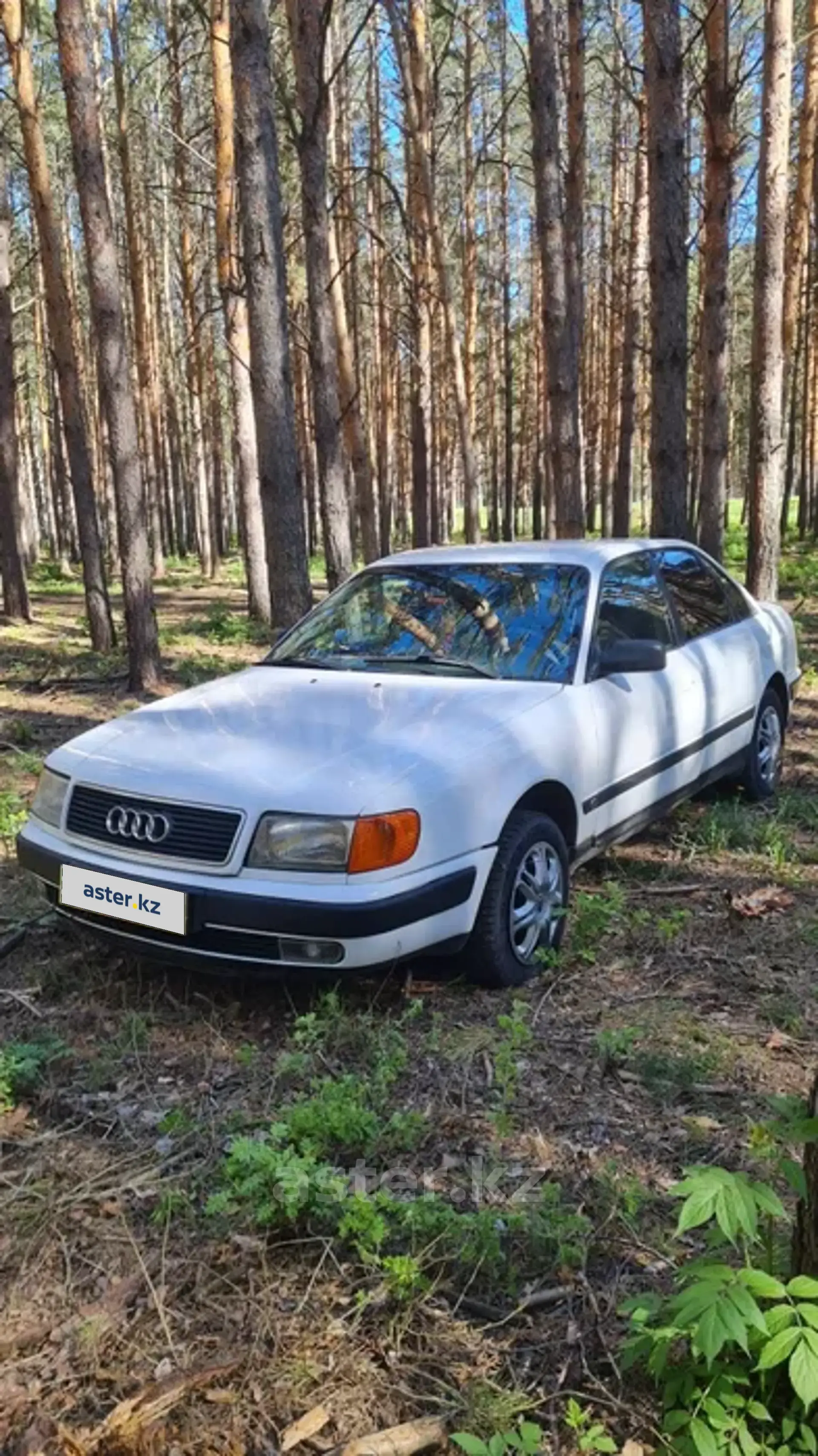 Audi 100 1992