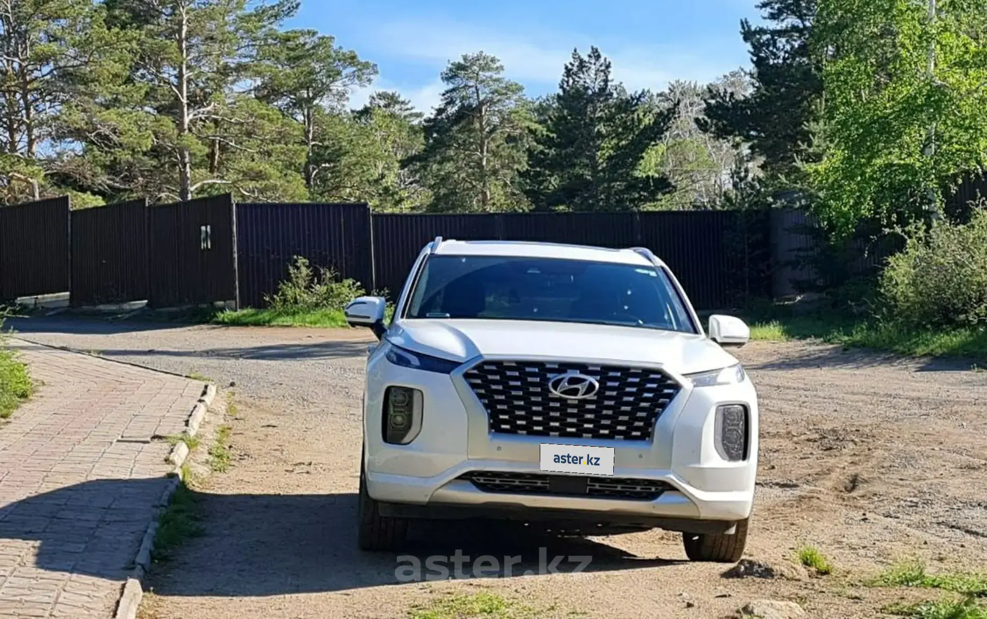 Hyundai Palisade 2020