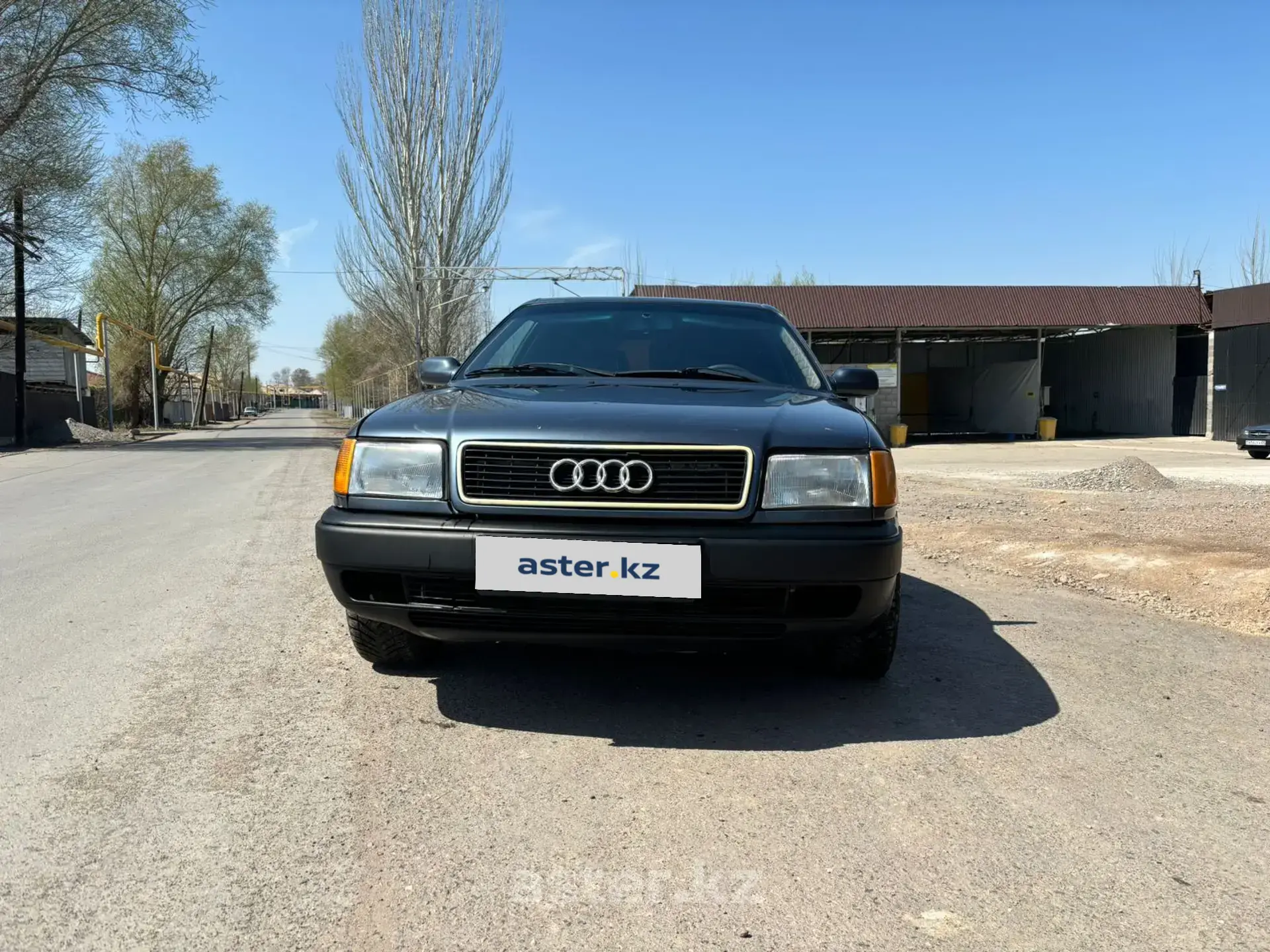 Audi 100 1991