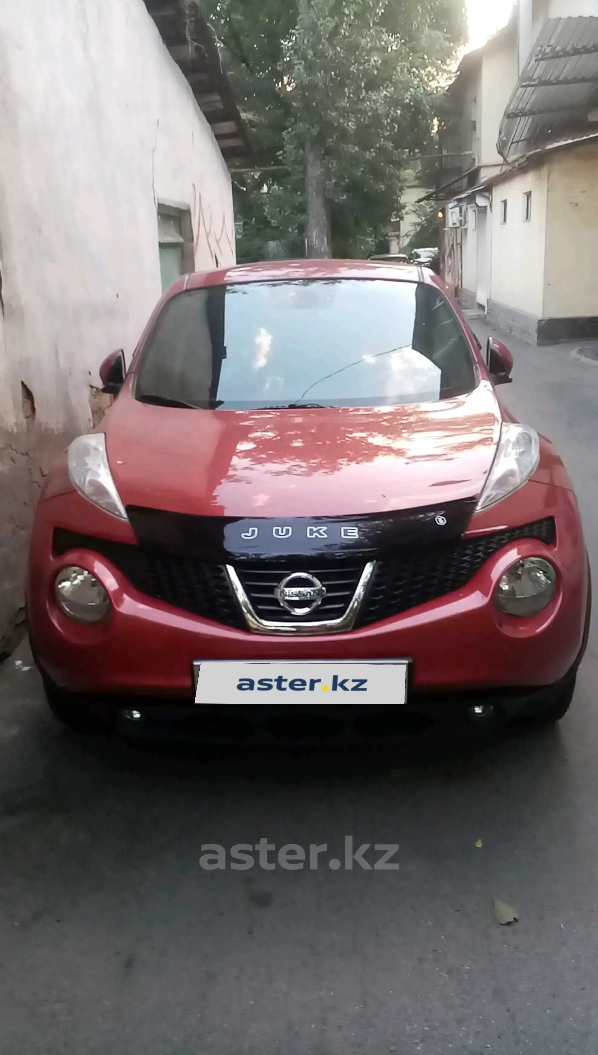 Nissan Juke 2013