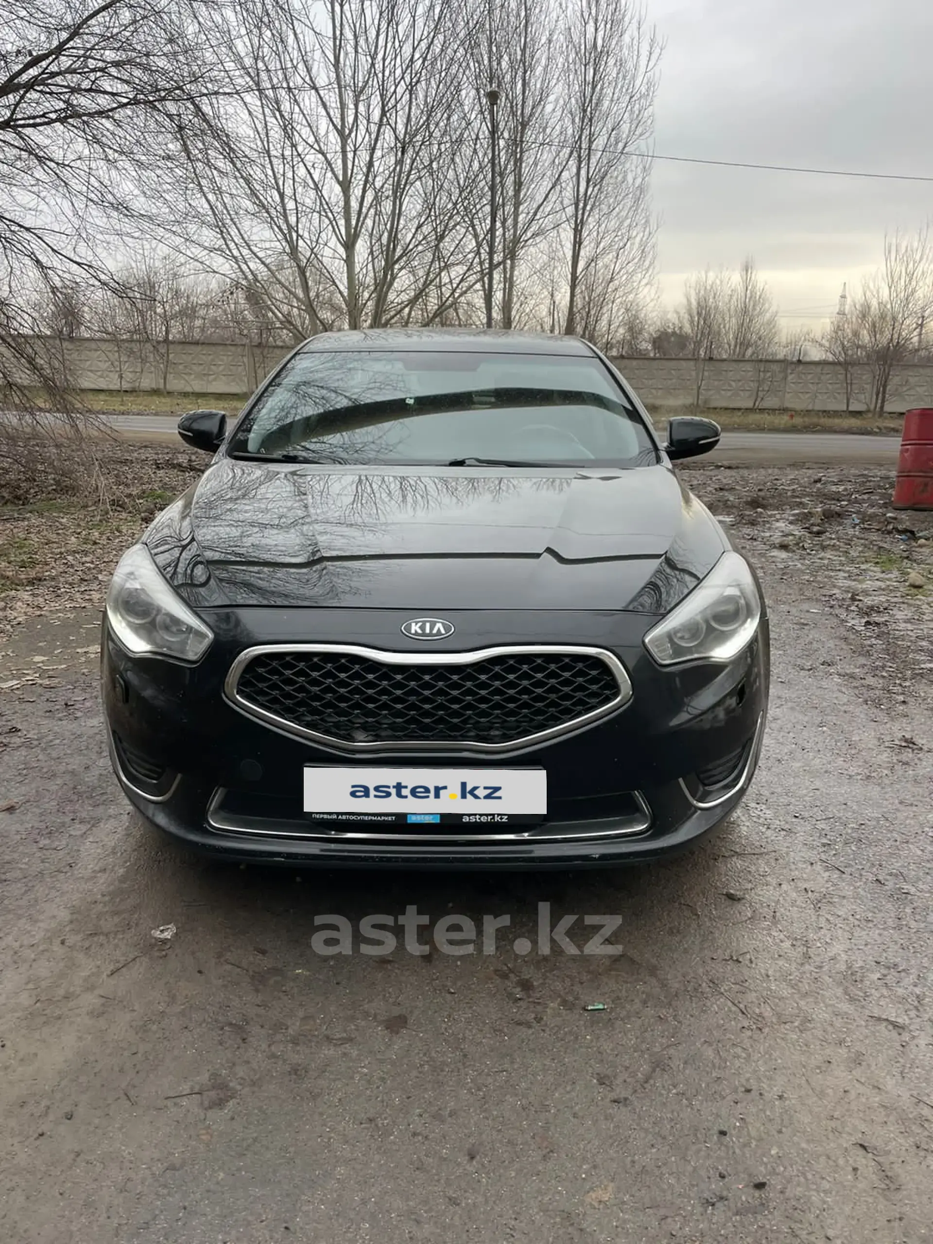 Kia Cadenza 2014