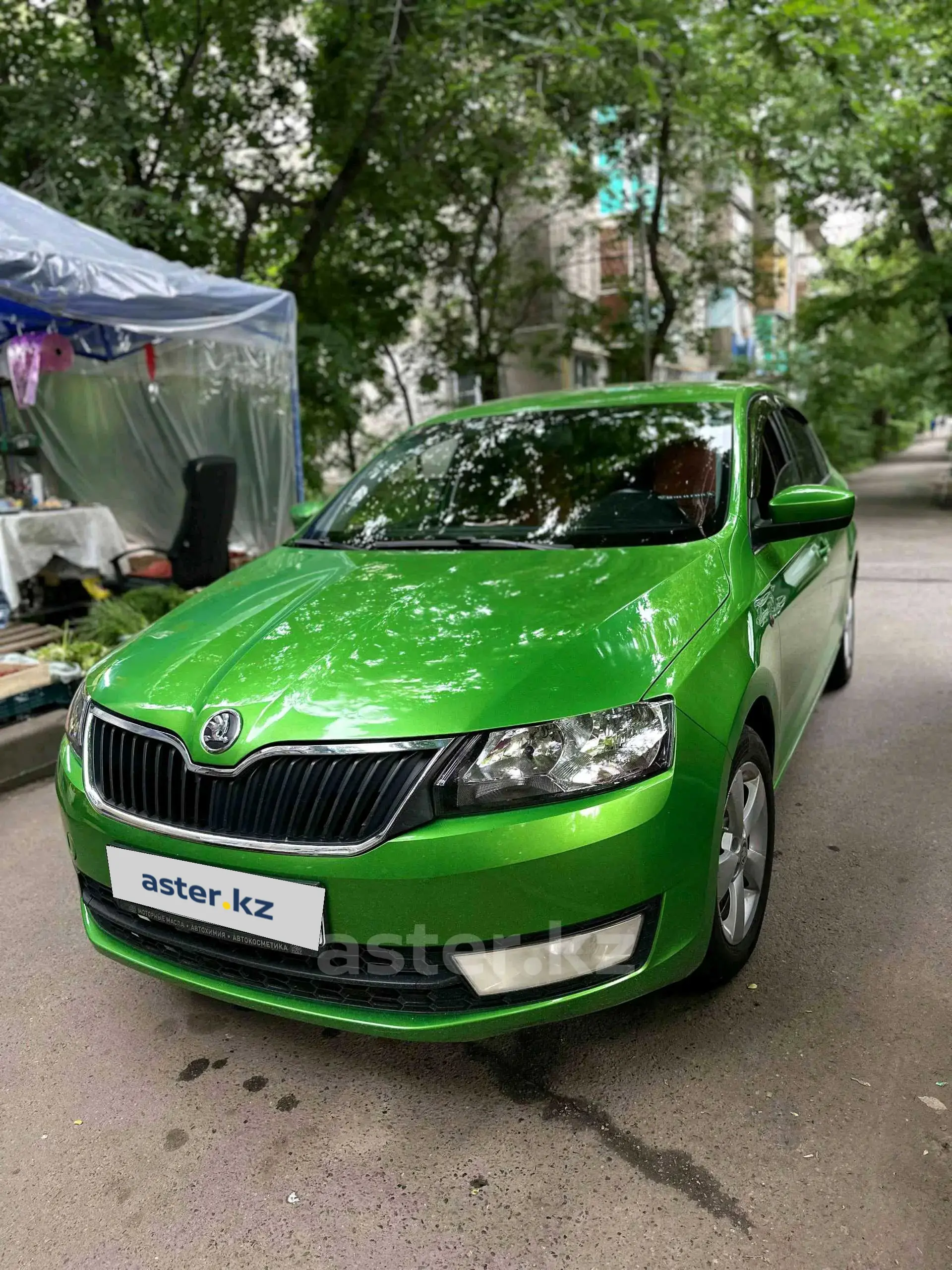 Skoda Rapid 2013