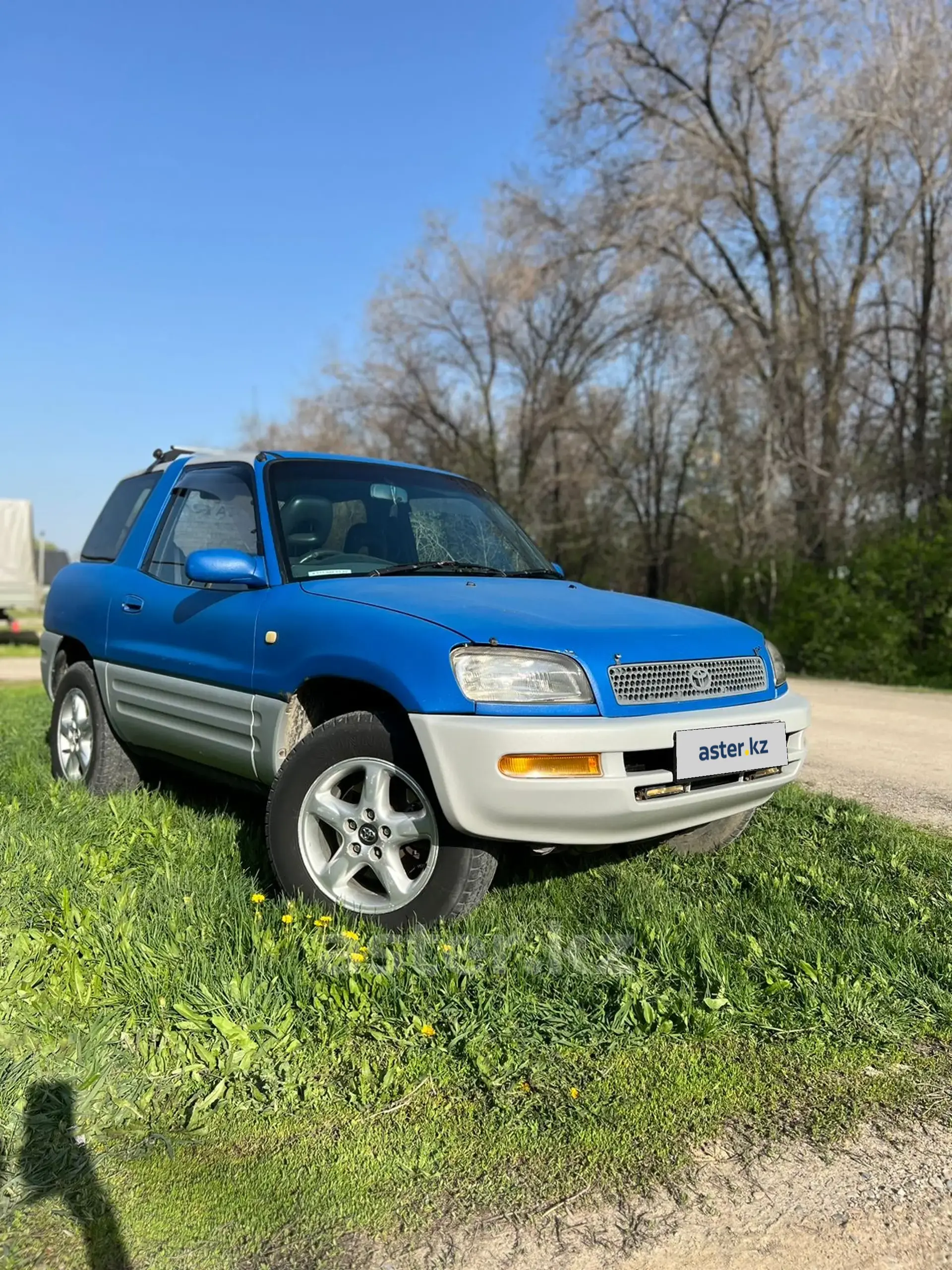 Toyota RAV4 1994