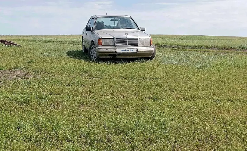 Mercedes-Benz 190 (W201) 1989 года за 1 100 000 тг. в Кокшетау