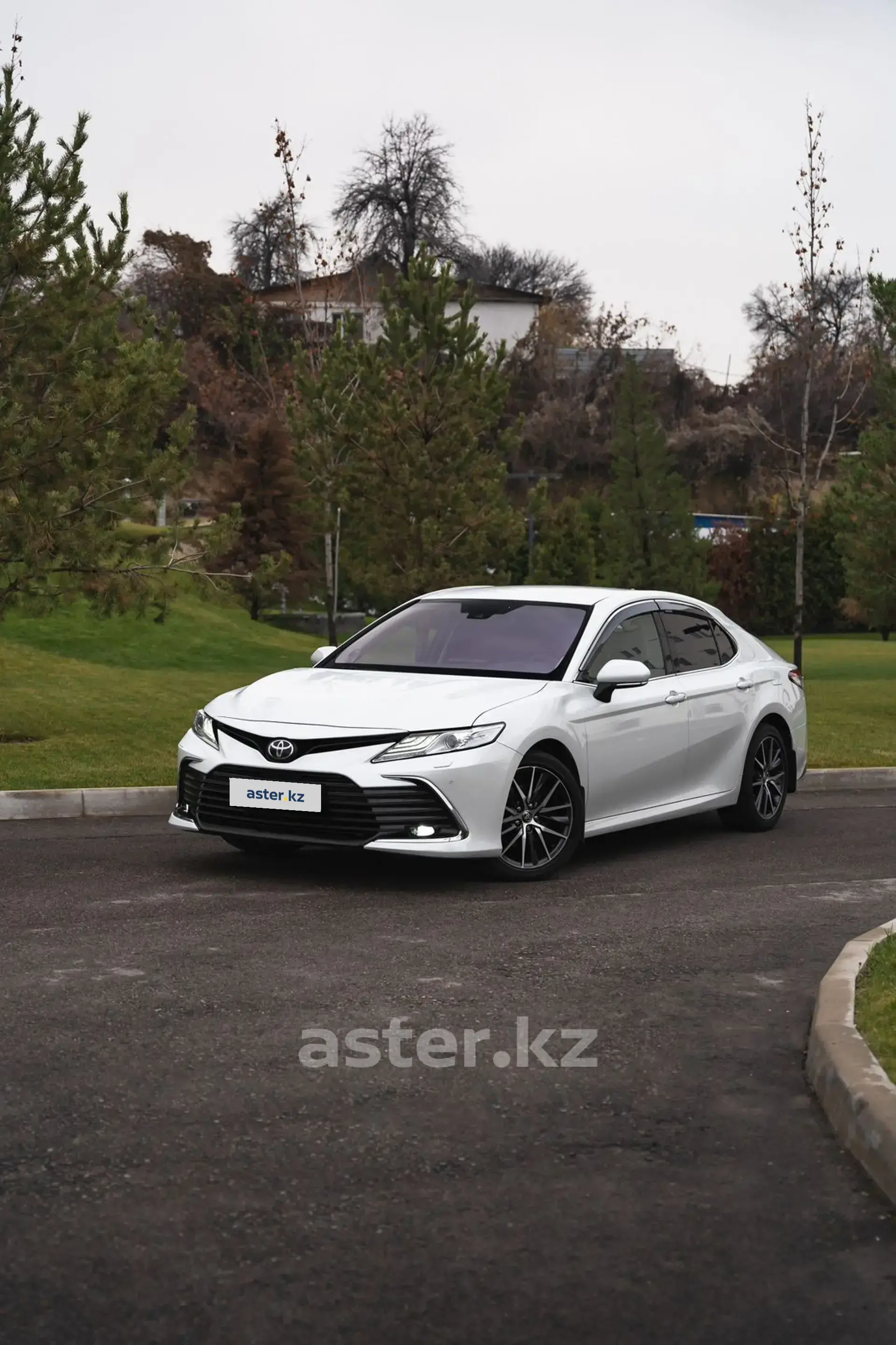 Toyota Camry 2021