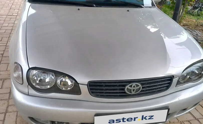 Toyota Corolla 2001 года за 2 300 000 тг. в Алматы