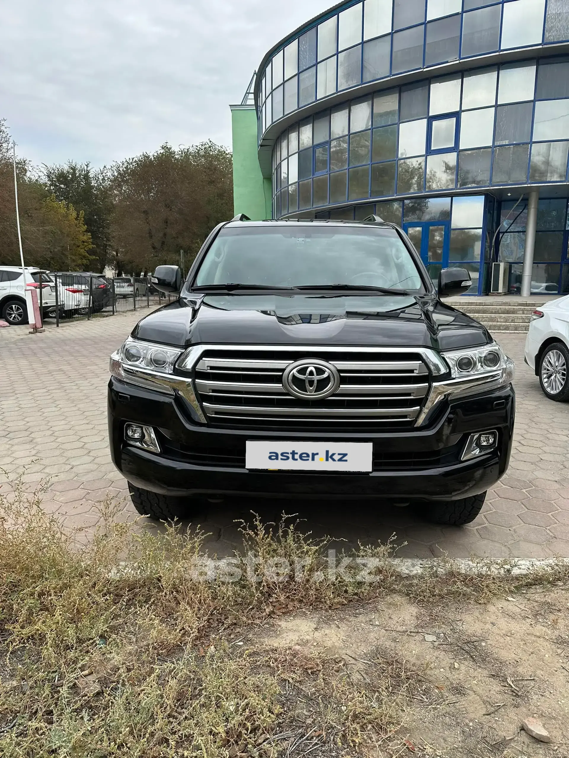 Toyota Land Cruiser 2017