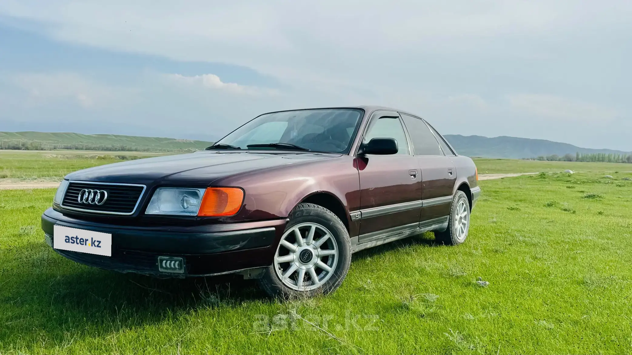 Audi 100 1991