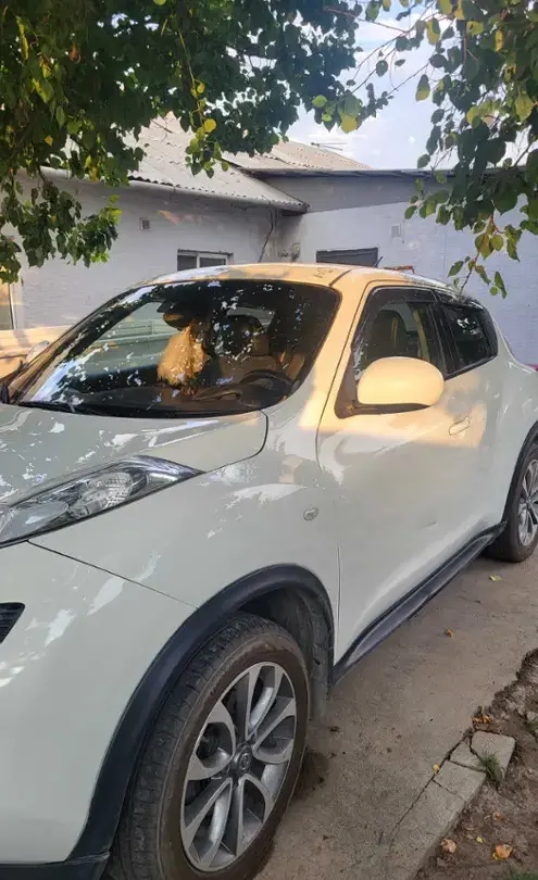 Nissan Juke 2013