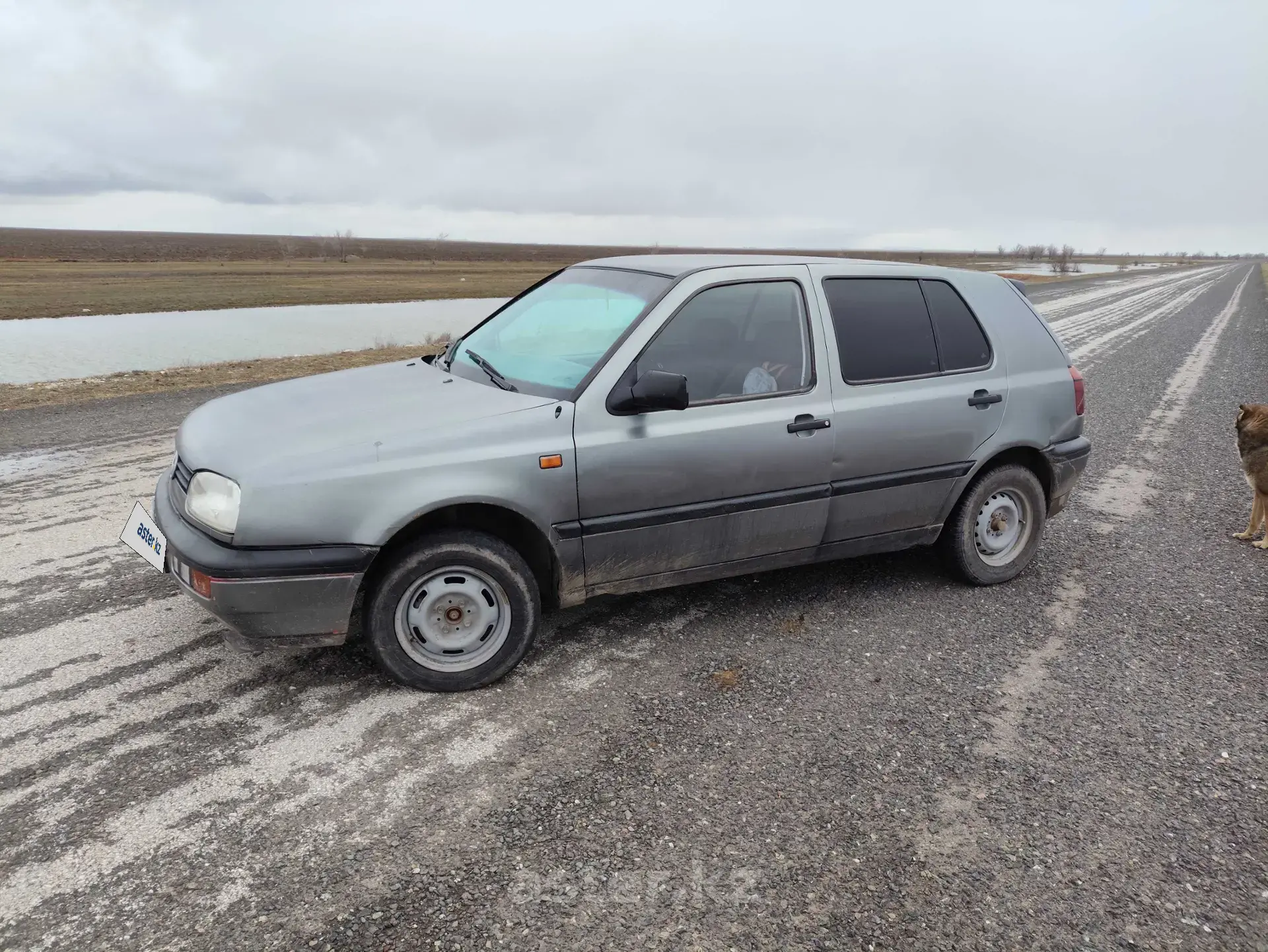 Volkswagen Golf 1991