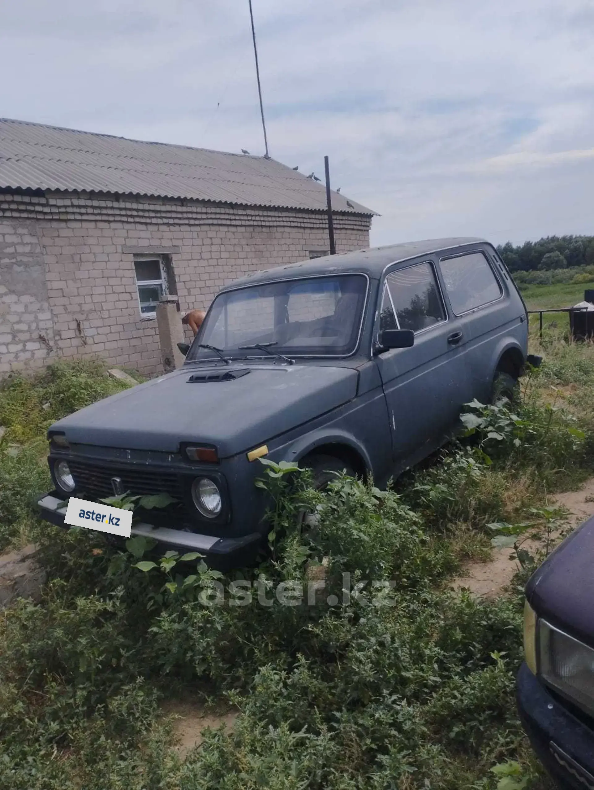 LADA (ВАЗ) 2121 (4x4) 1985