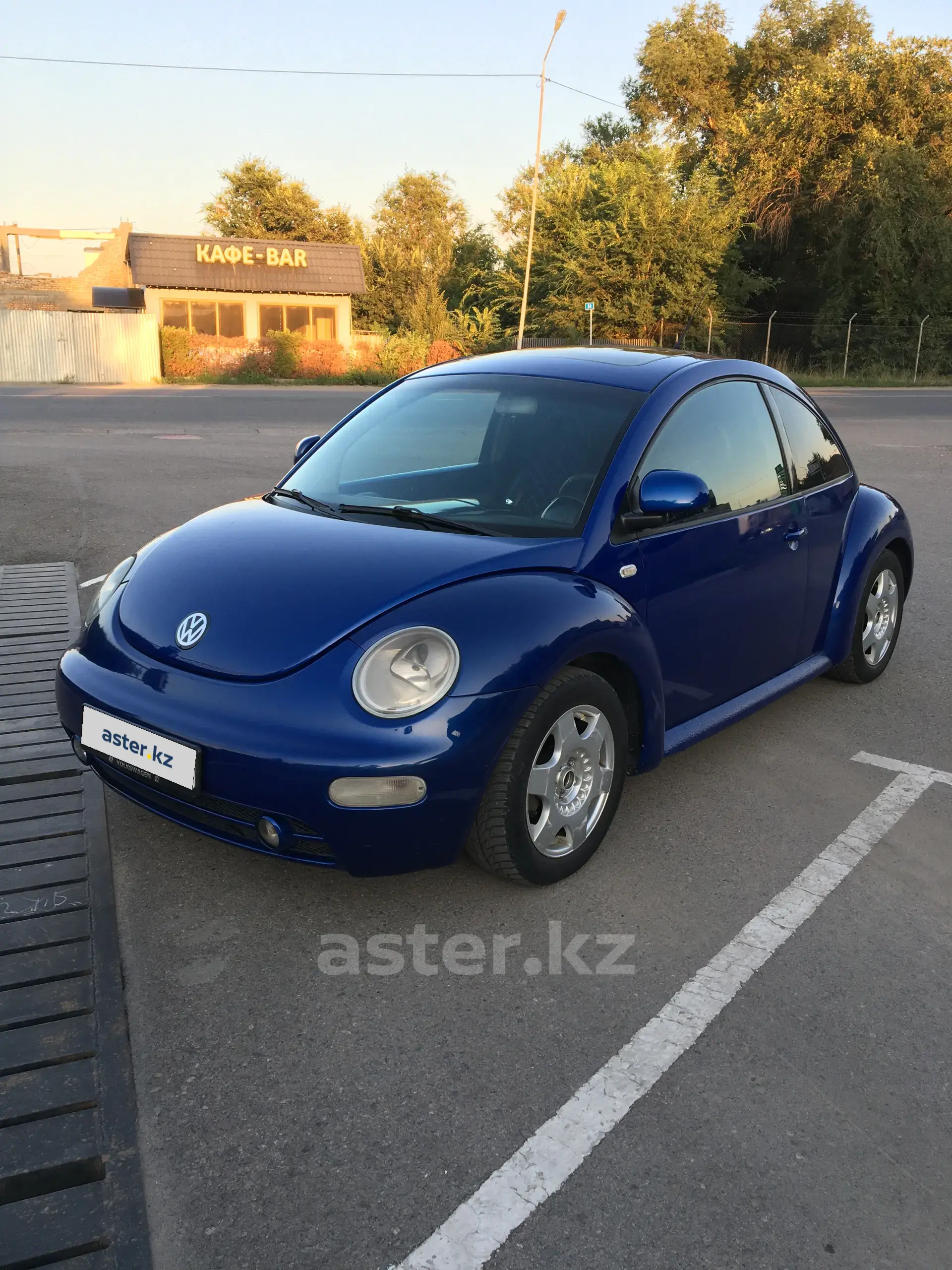 Volkswagen Beetle 2002