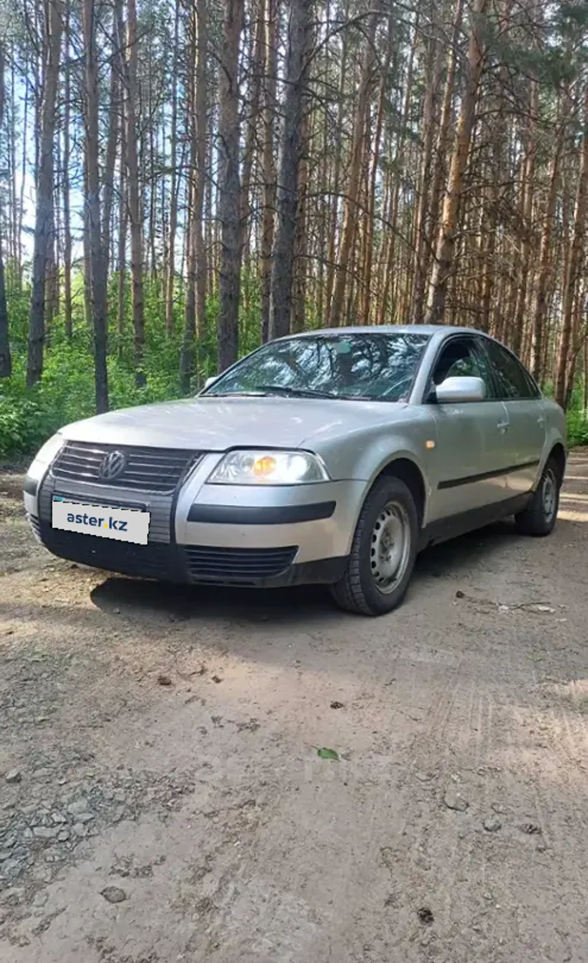 Volkswagen Passat 2002