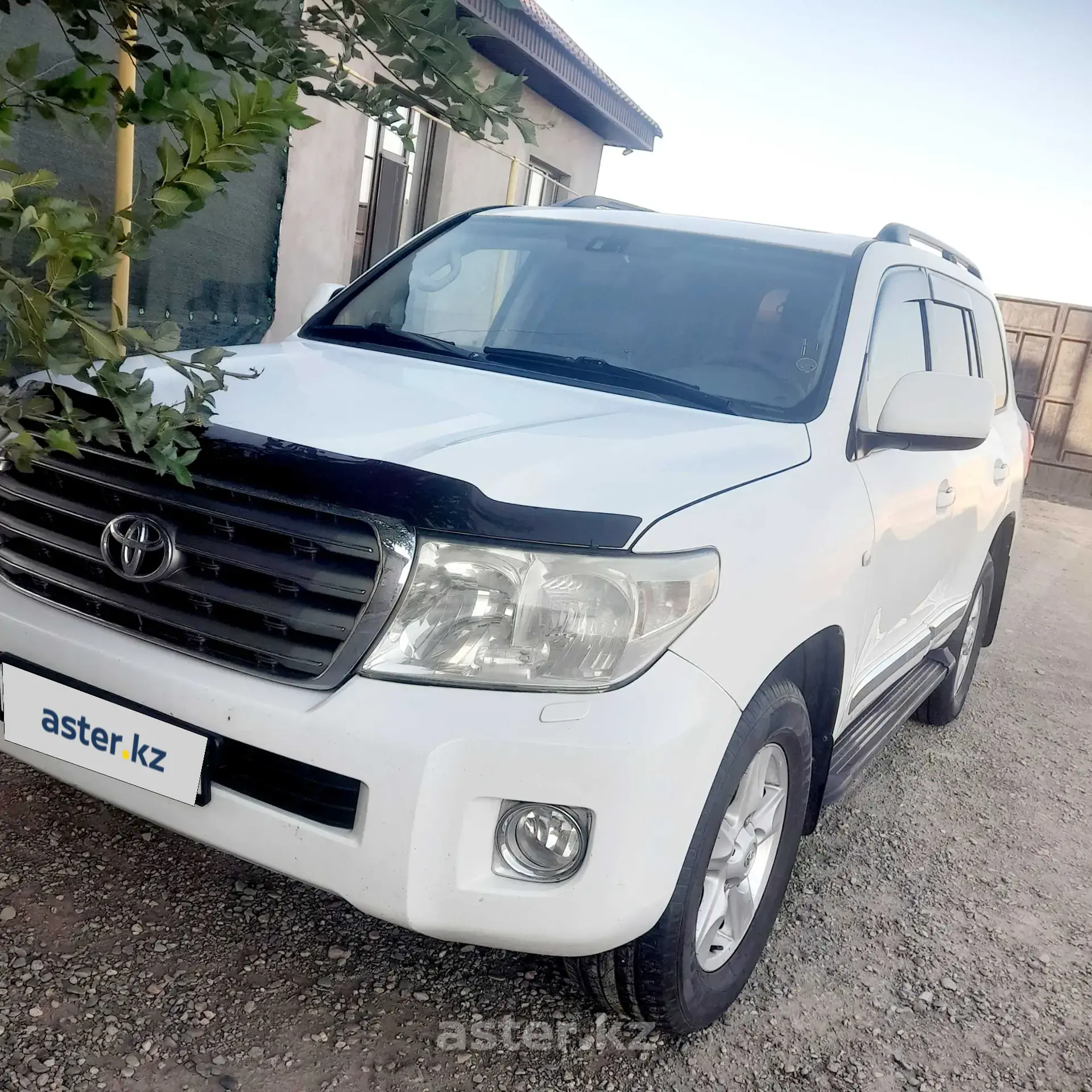 Toyota Land Cruiser 2010