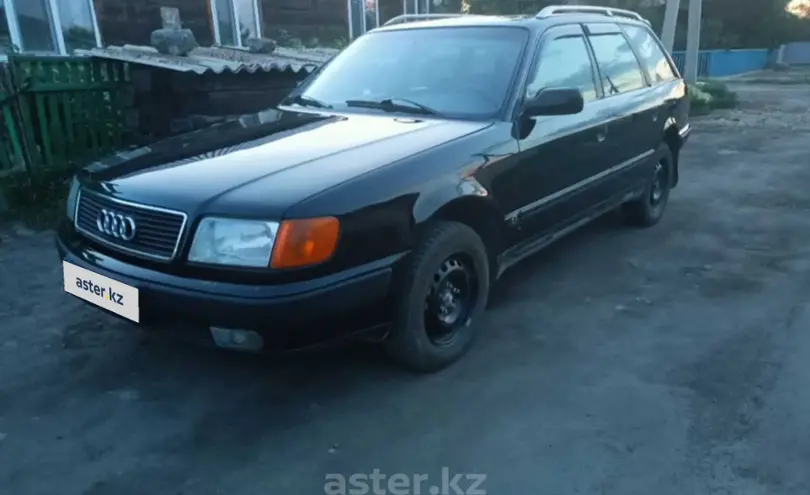 Audi 100 1993 года за 2 500 000 тг. в Кокшетау