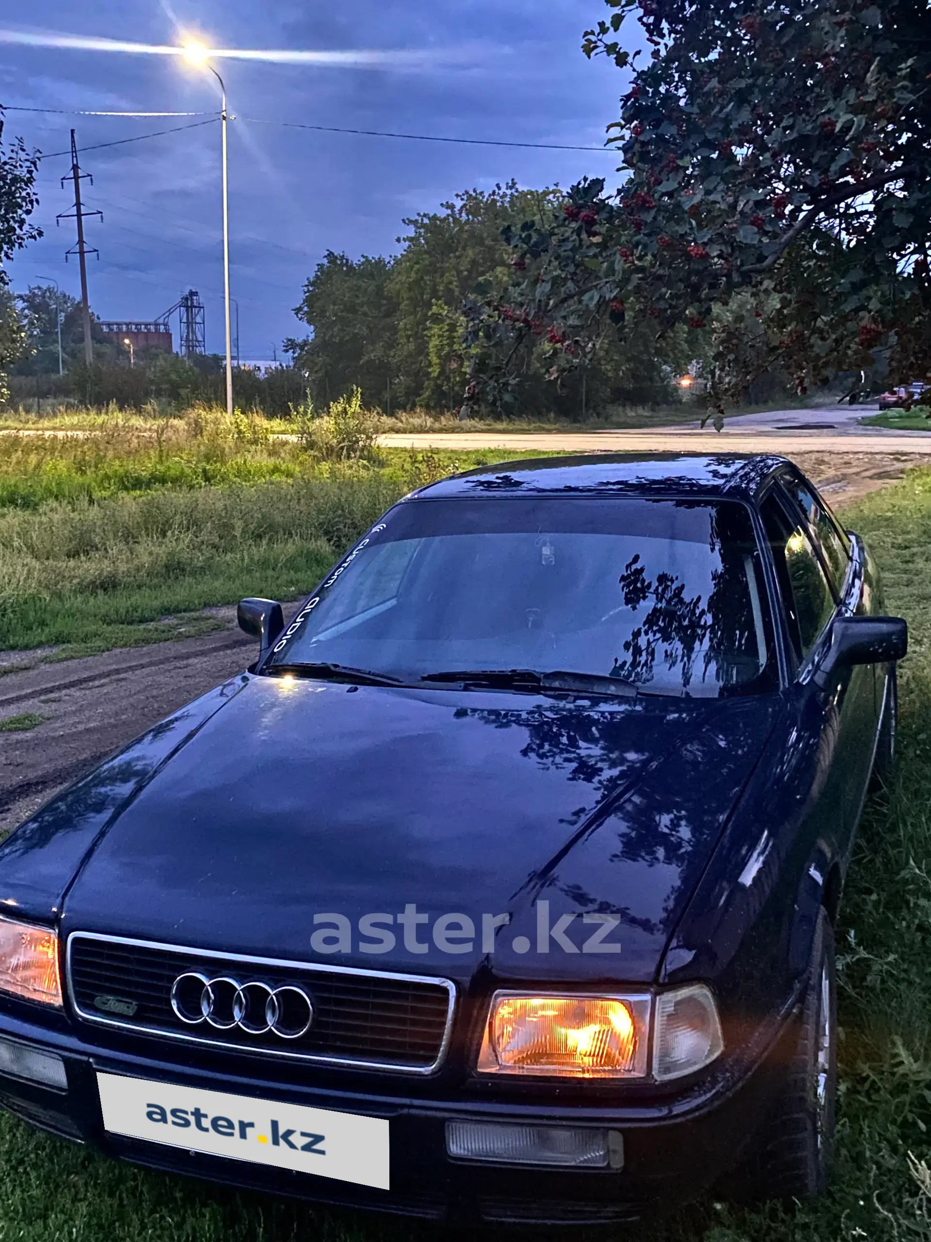 Audi 80 1993