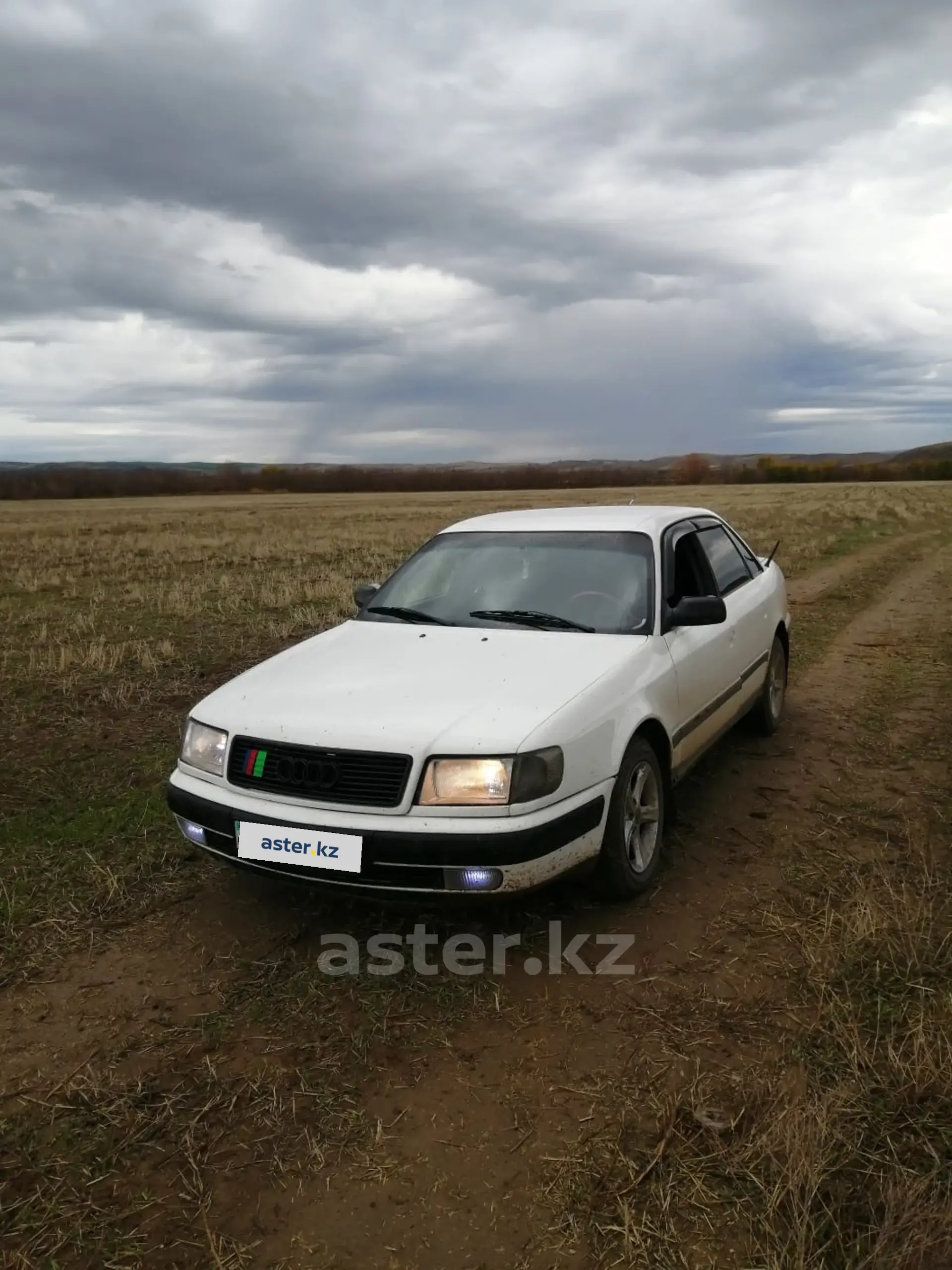 Audi 100 1991