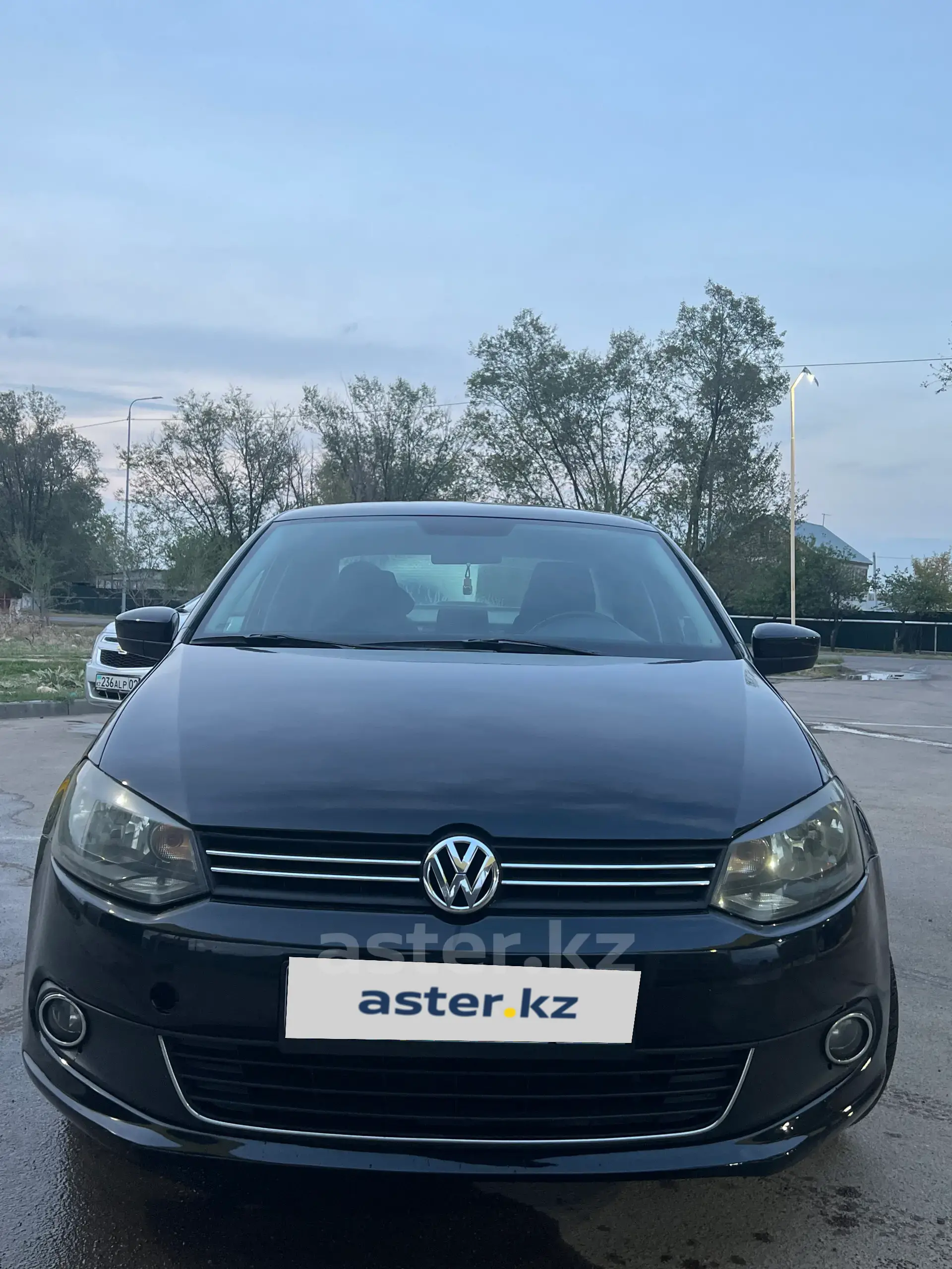 Volkswagen Polo 2013