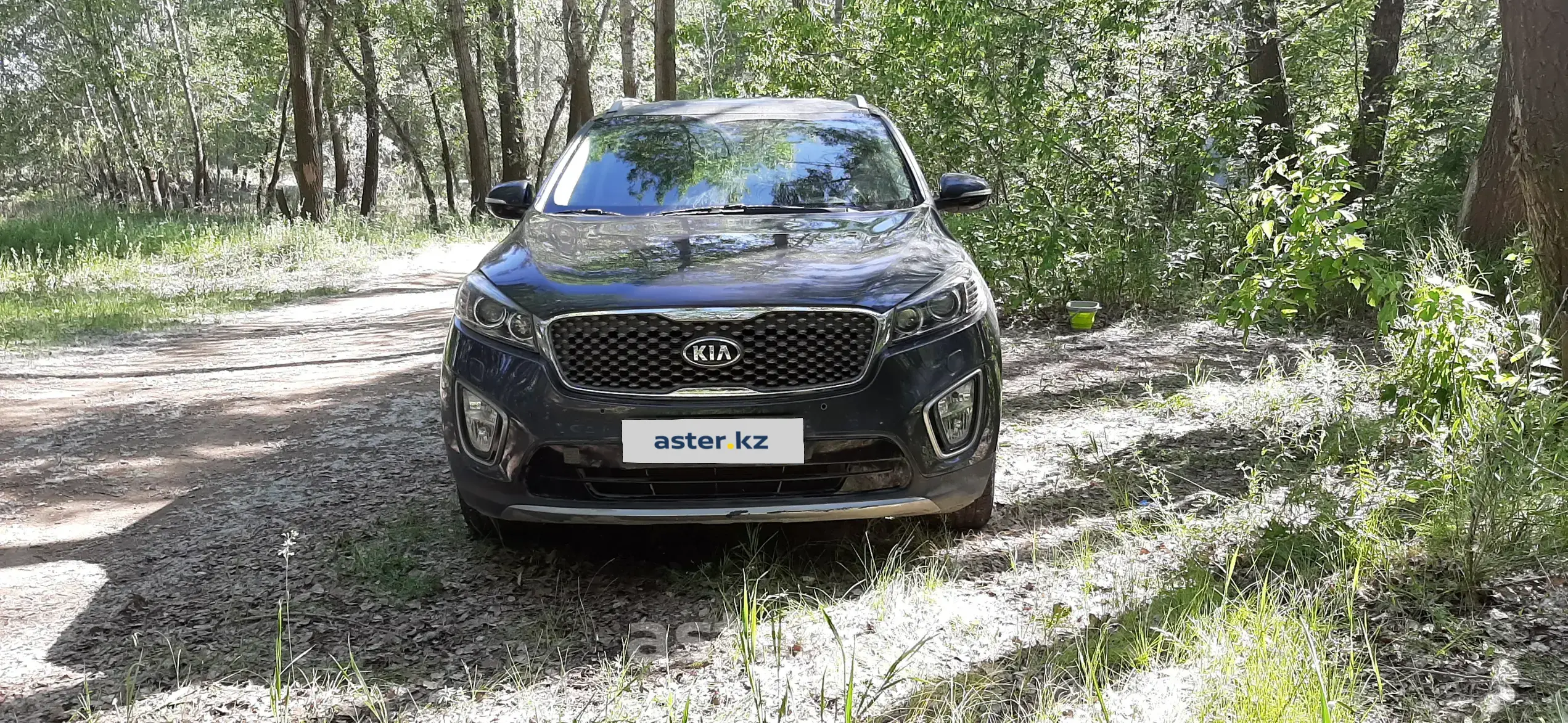 Kia Sorento 2015