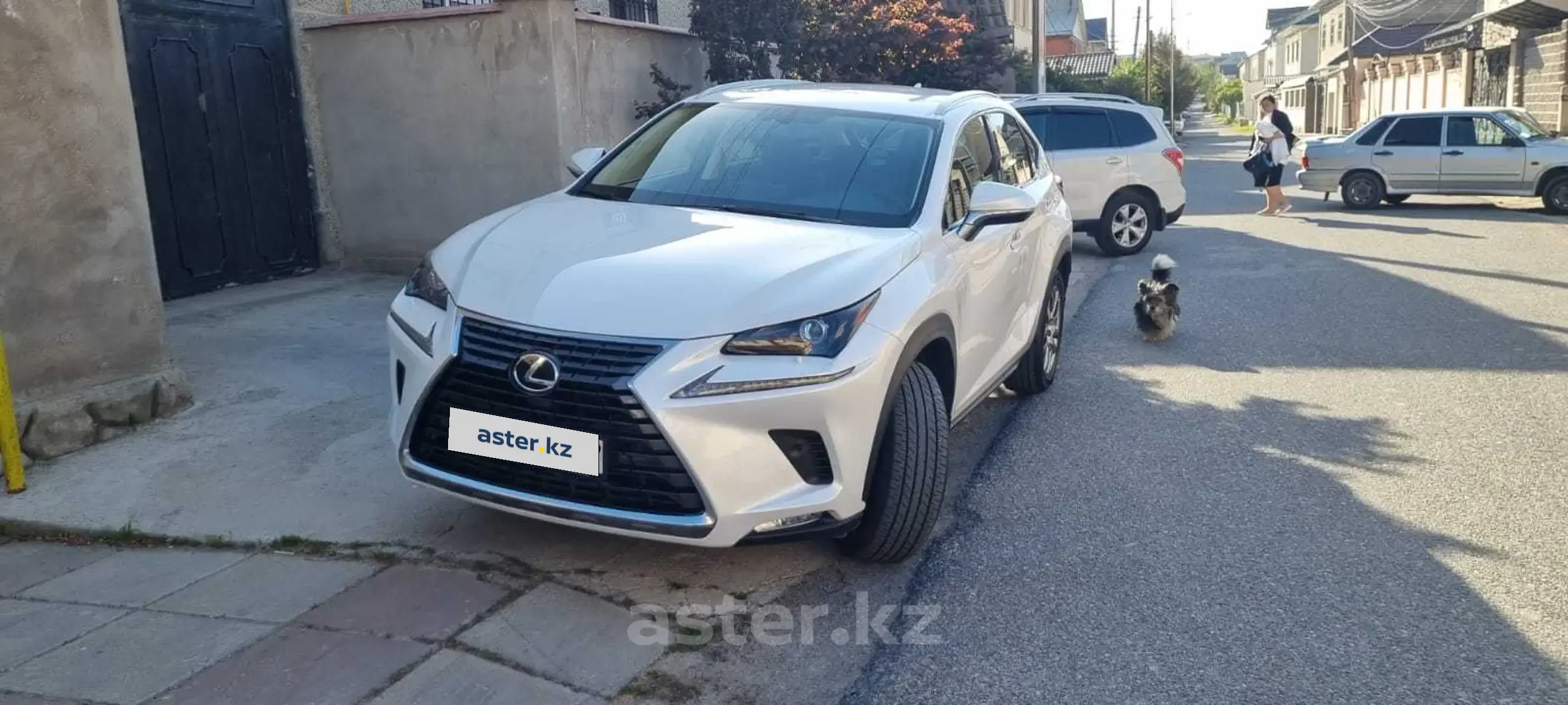 Lexus NX 2019