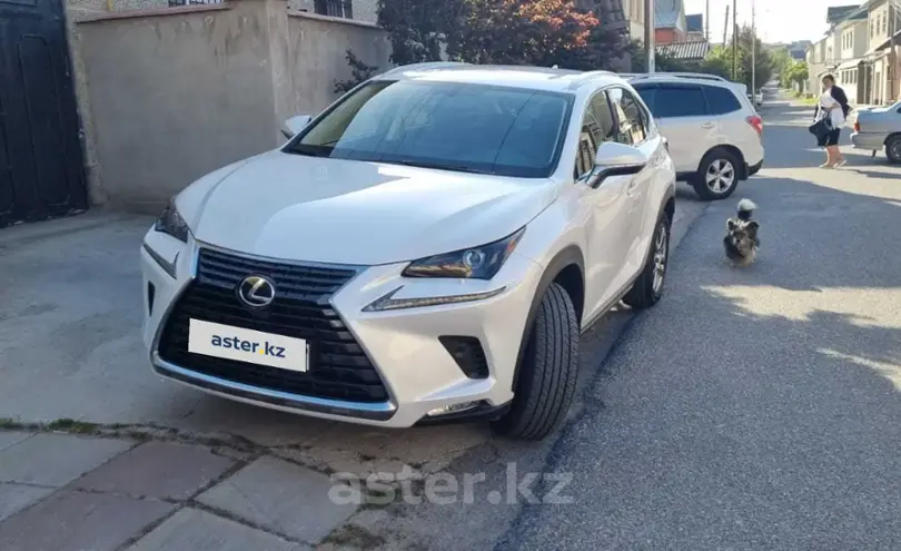 Lexus NX 2019 года за 17 000 000 тг. в Шымкент