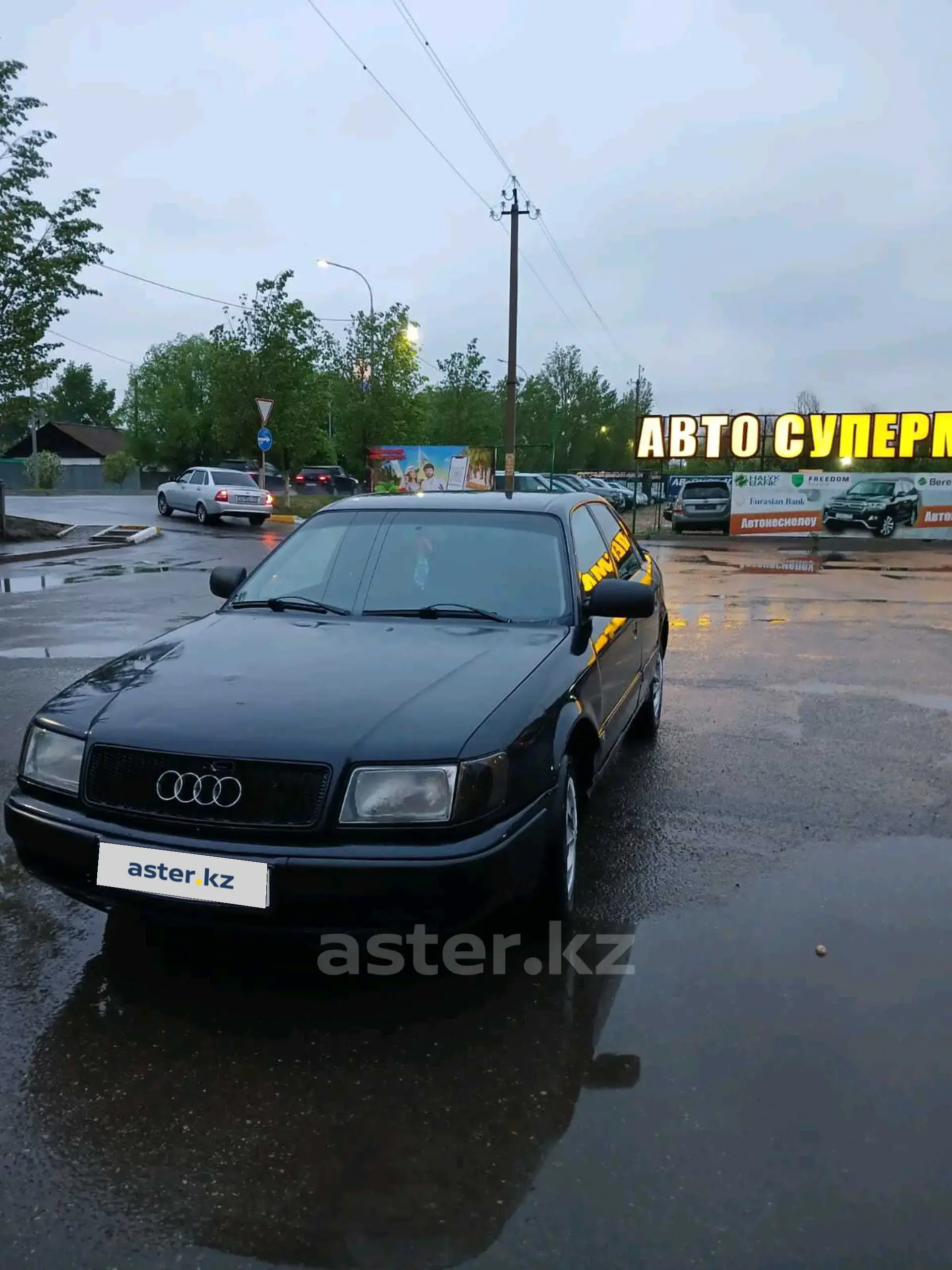 Audi 100 1991