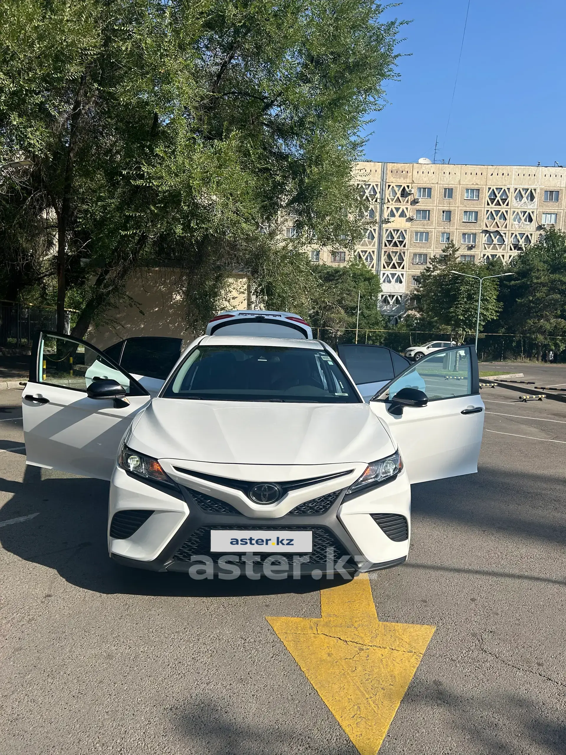 Toyota Camry 2019