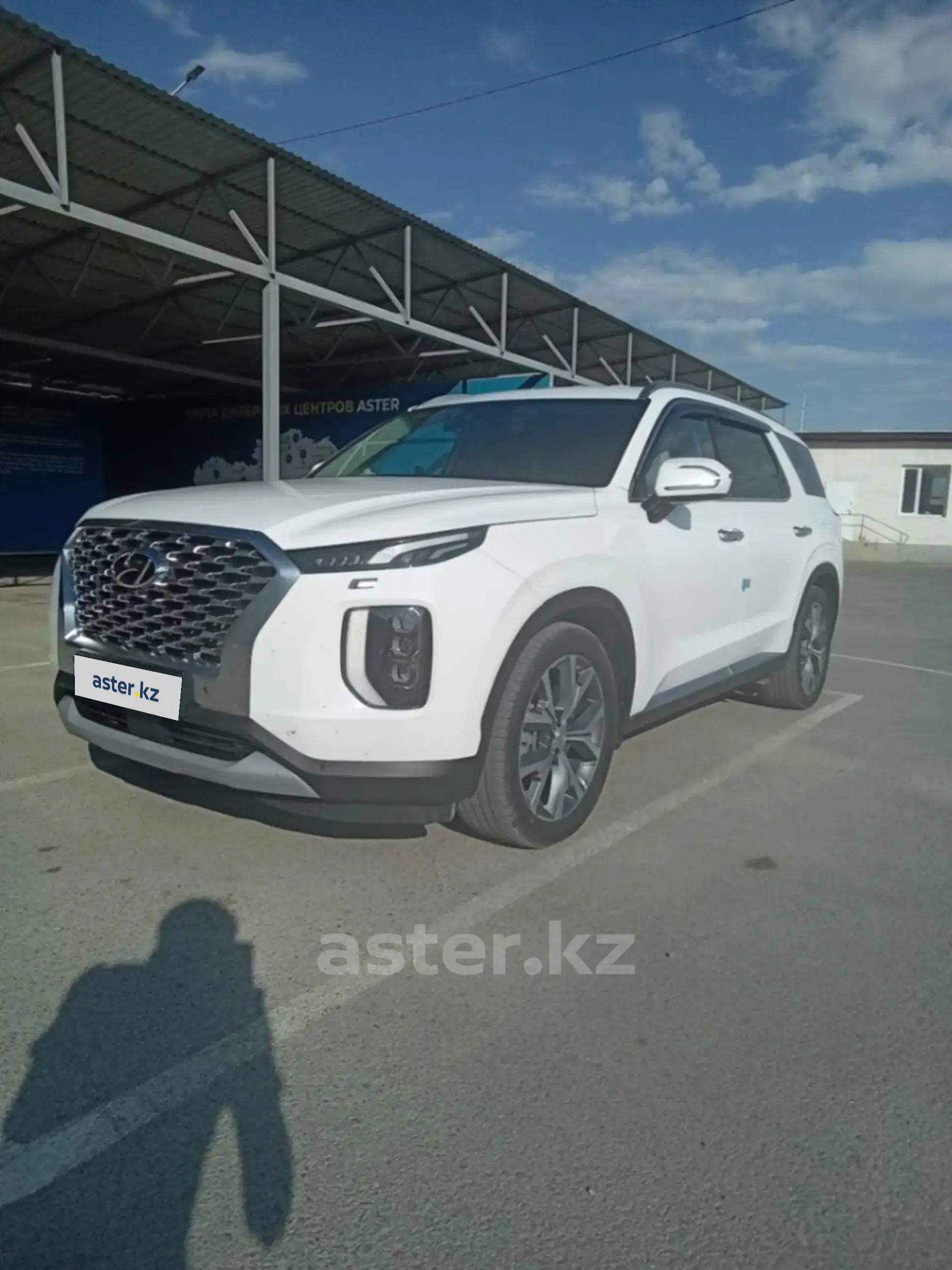 Hyundai Palisade 2020