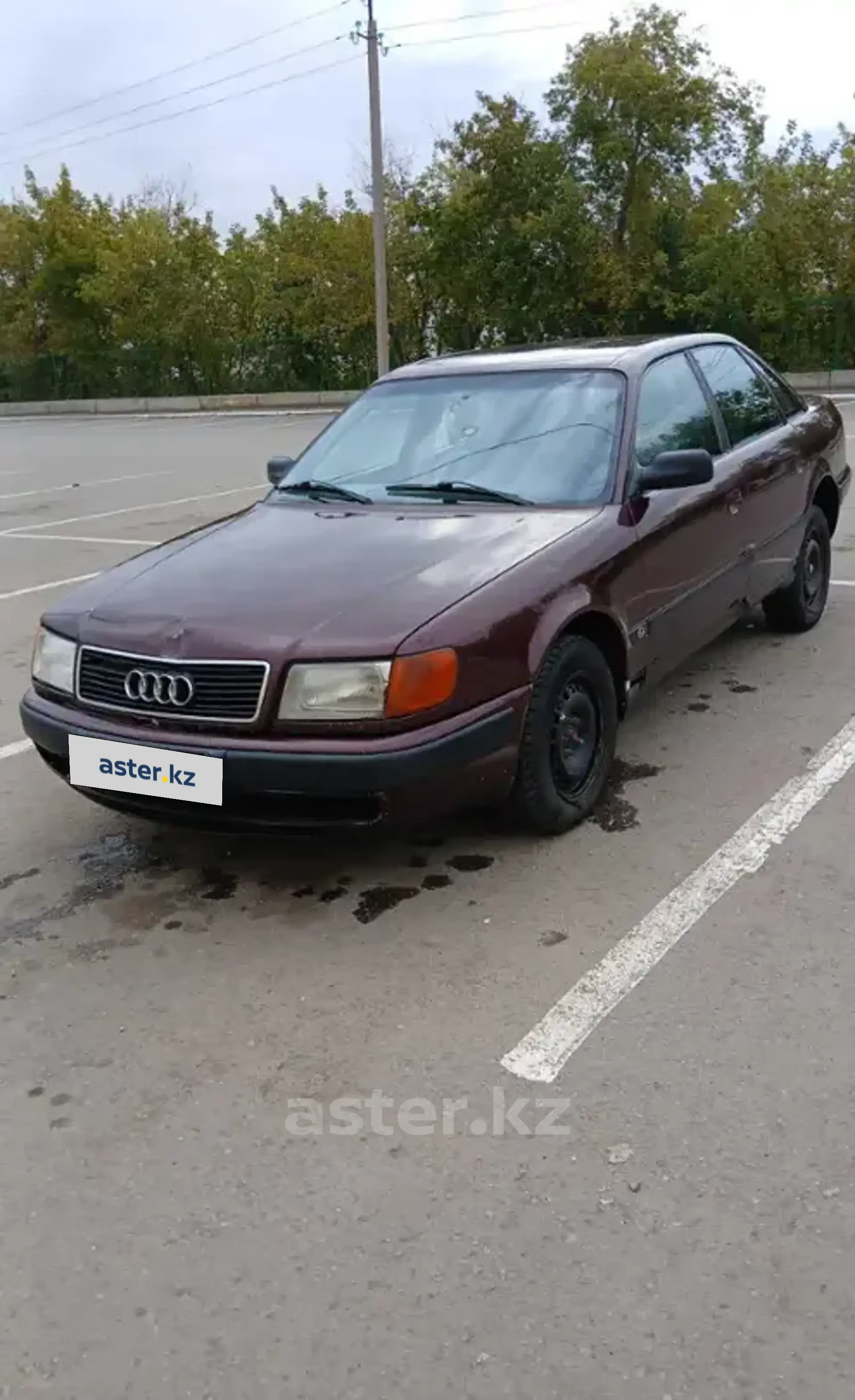 Audi 100 1991