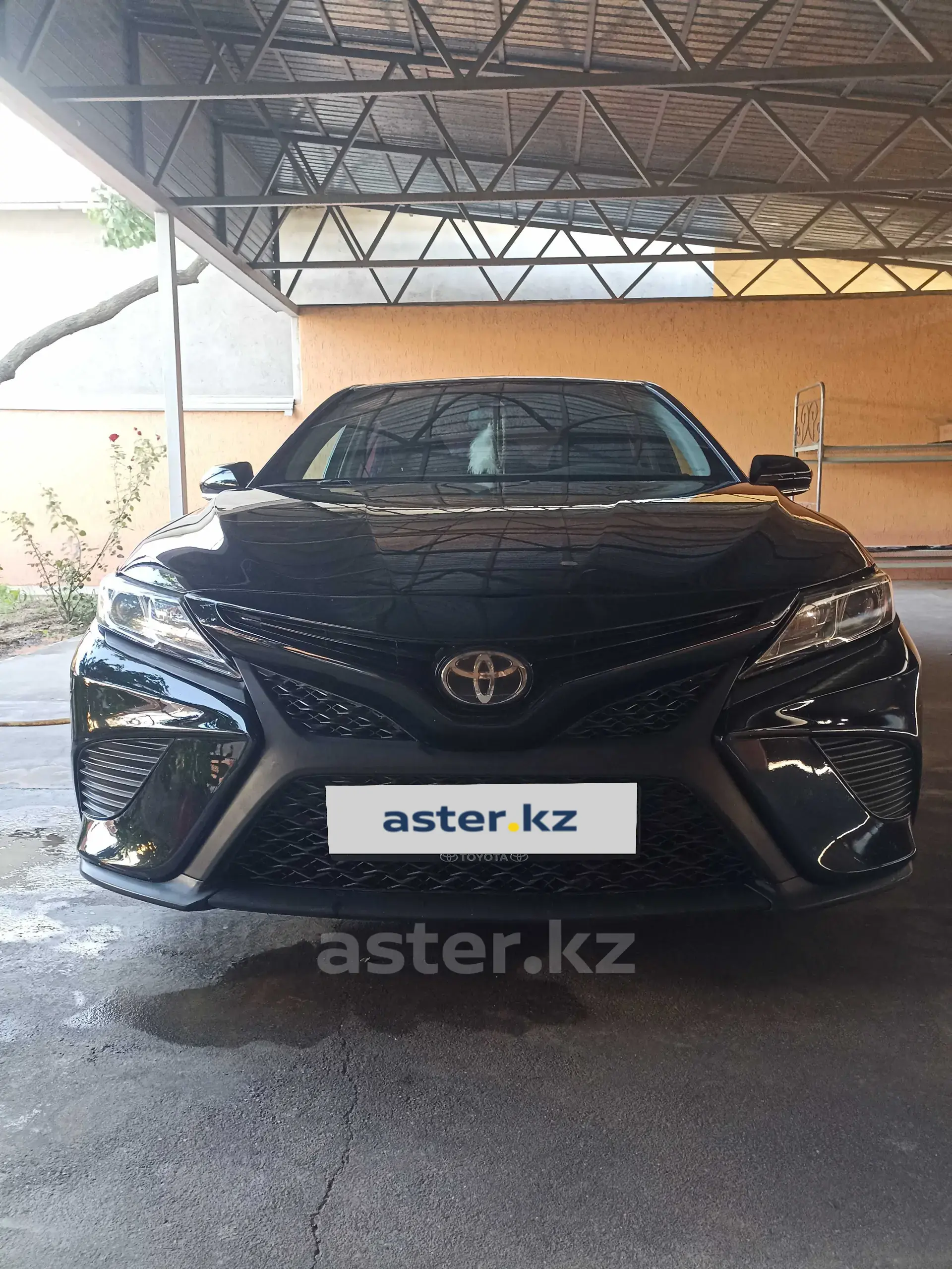 Toyota Camry 2019