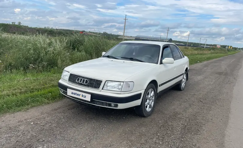 Audi 100 1993 года за 2 200 000 тг. в Петропавловск