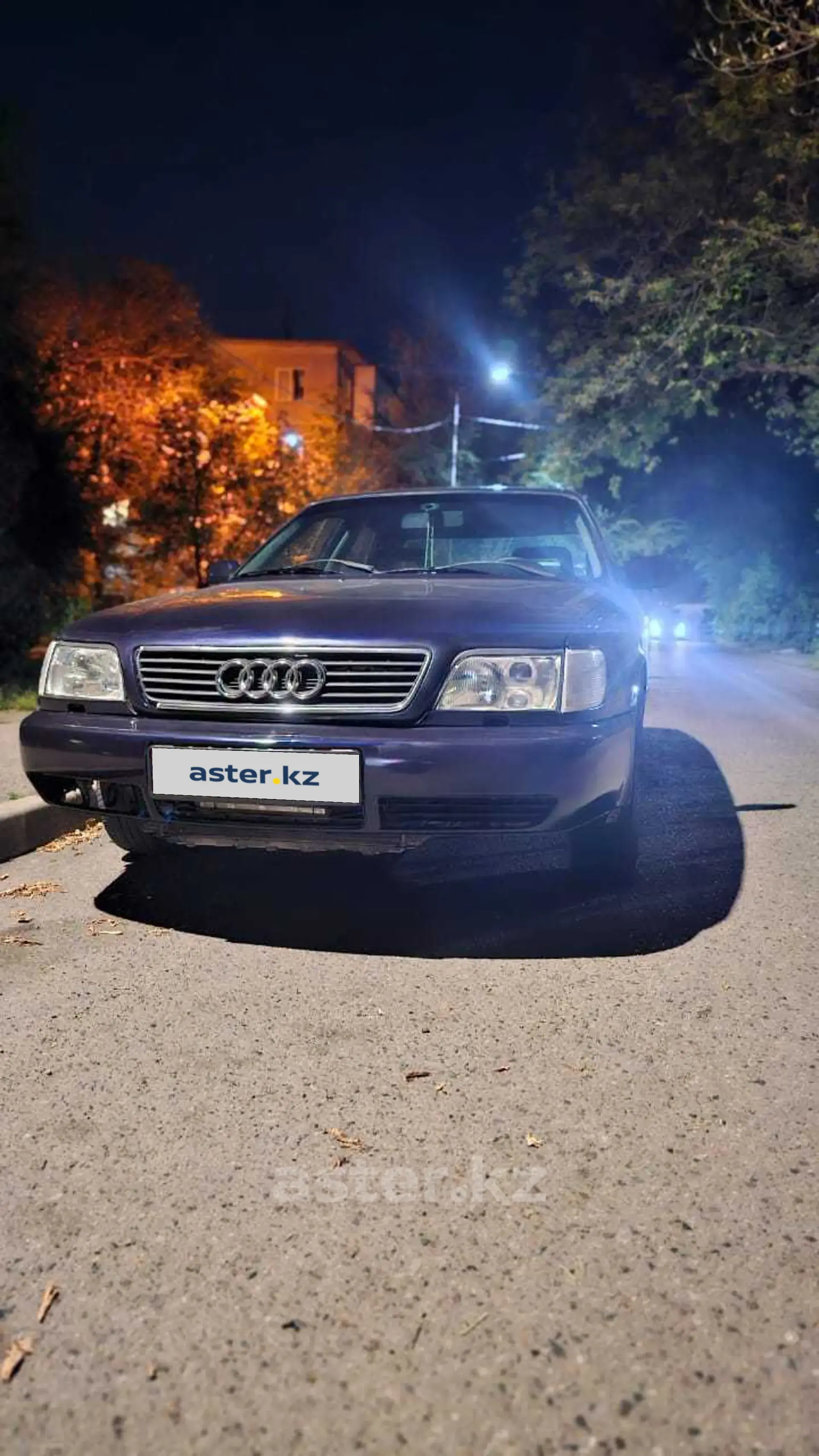 Audi 100 1993