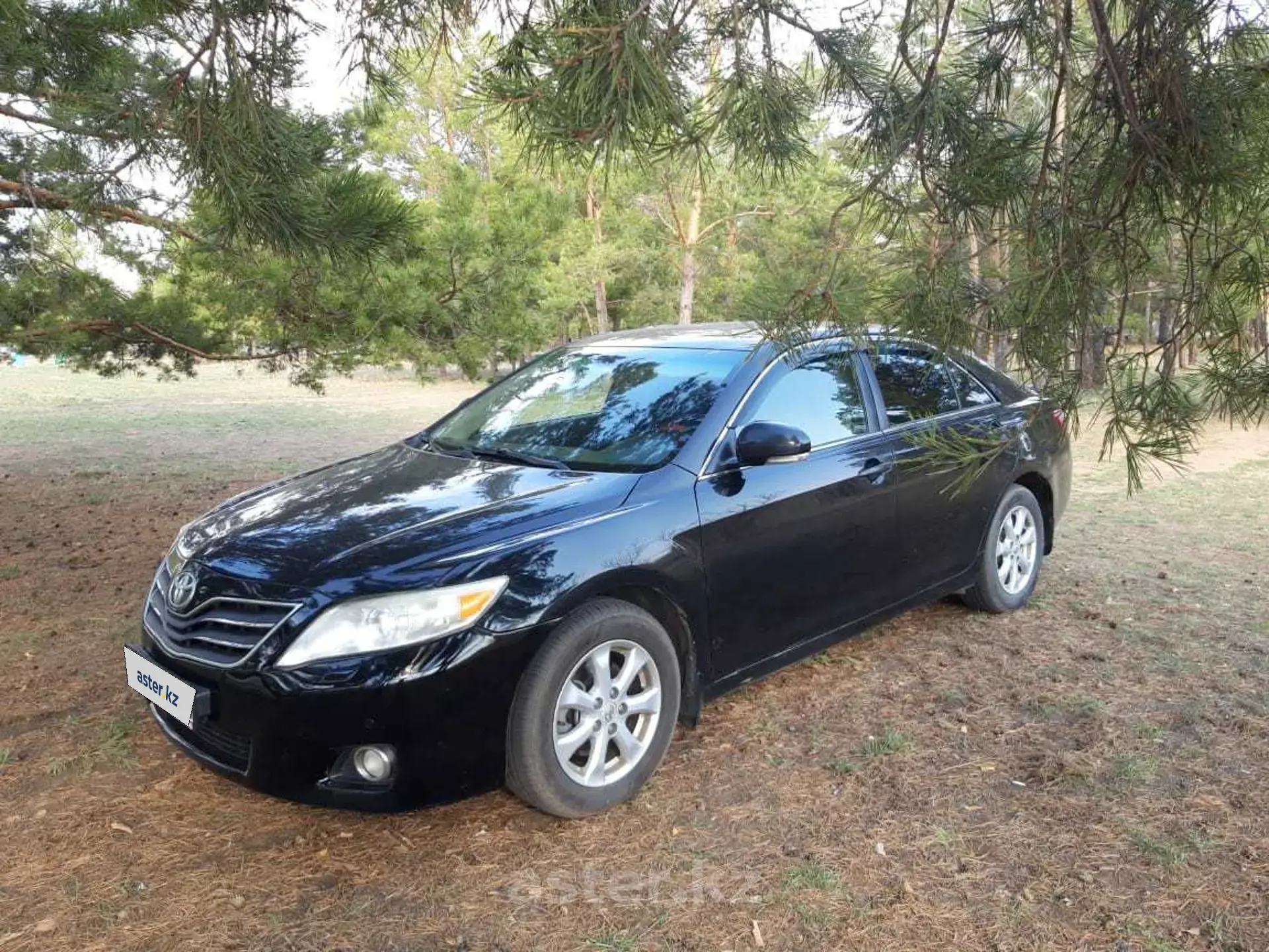 Toyota Camry 2010