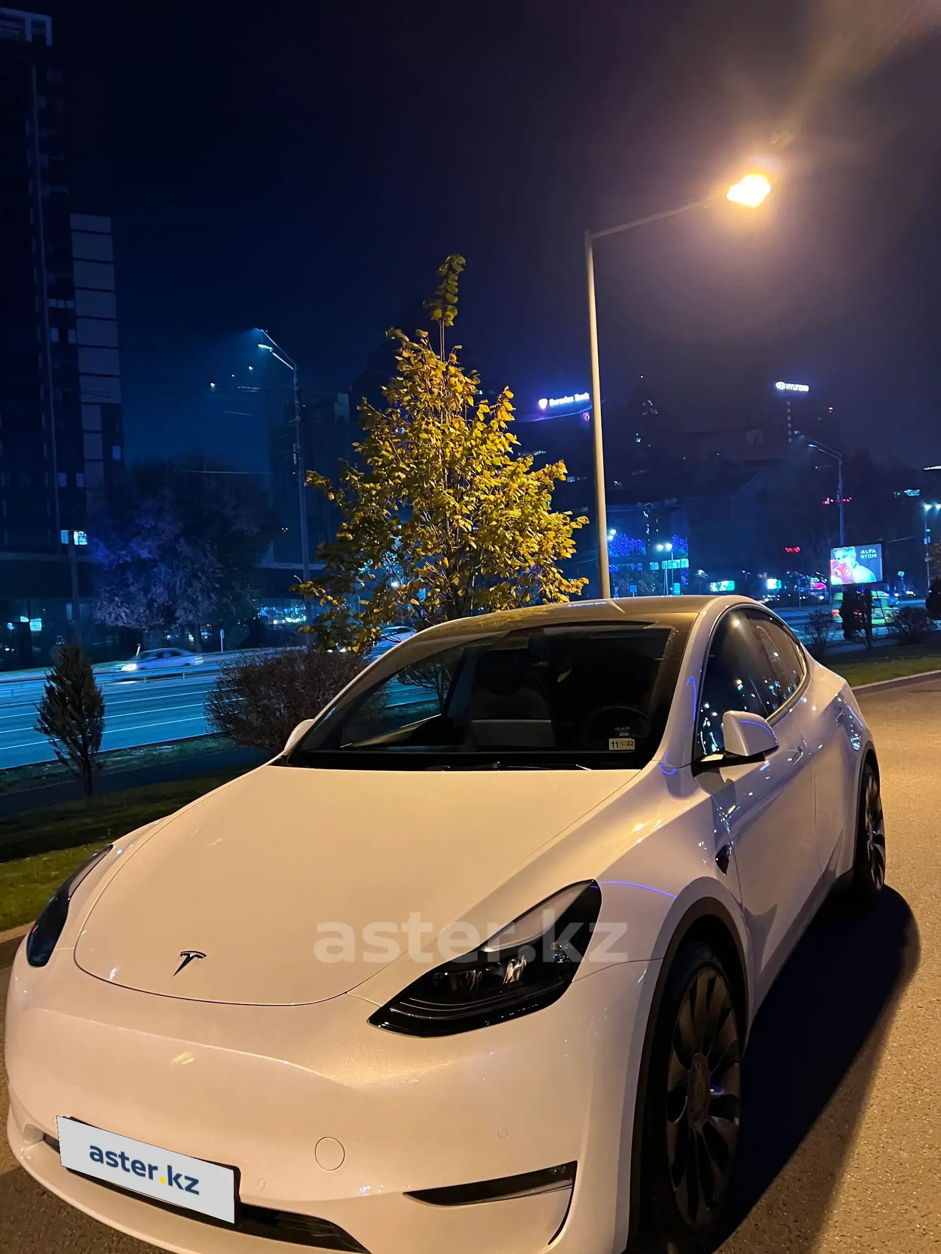 Tesla Model Y 2022