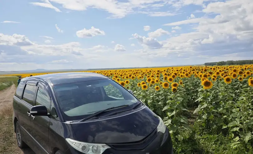 Купить Toyota Estima 2008 года в Кокшетау, цена 7700000 тенге. Продажа Toyota Estima в Кокшетау - Aster.kz. №c1251551 Toyota Estima 2008 года за 7 700 000 тг. в Кокшетау