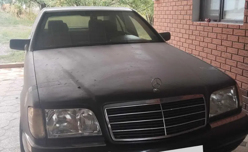 Mercedes-Benz S-Класс 1994 года за 500 000 тг. в Алматинская область