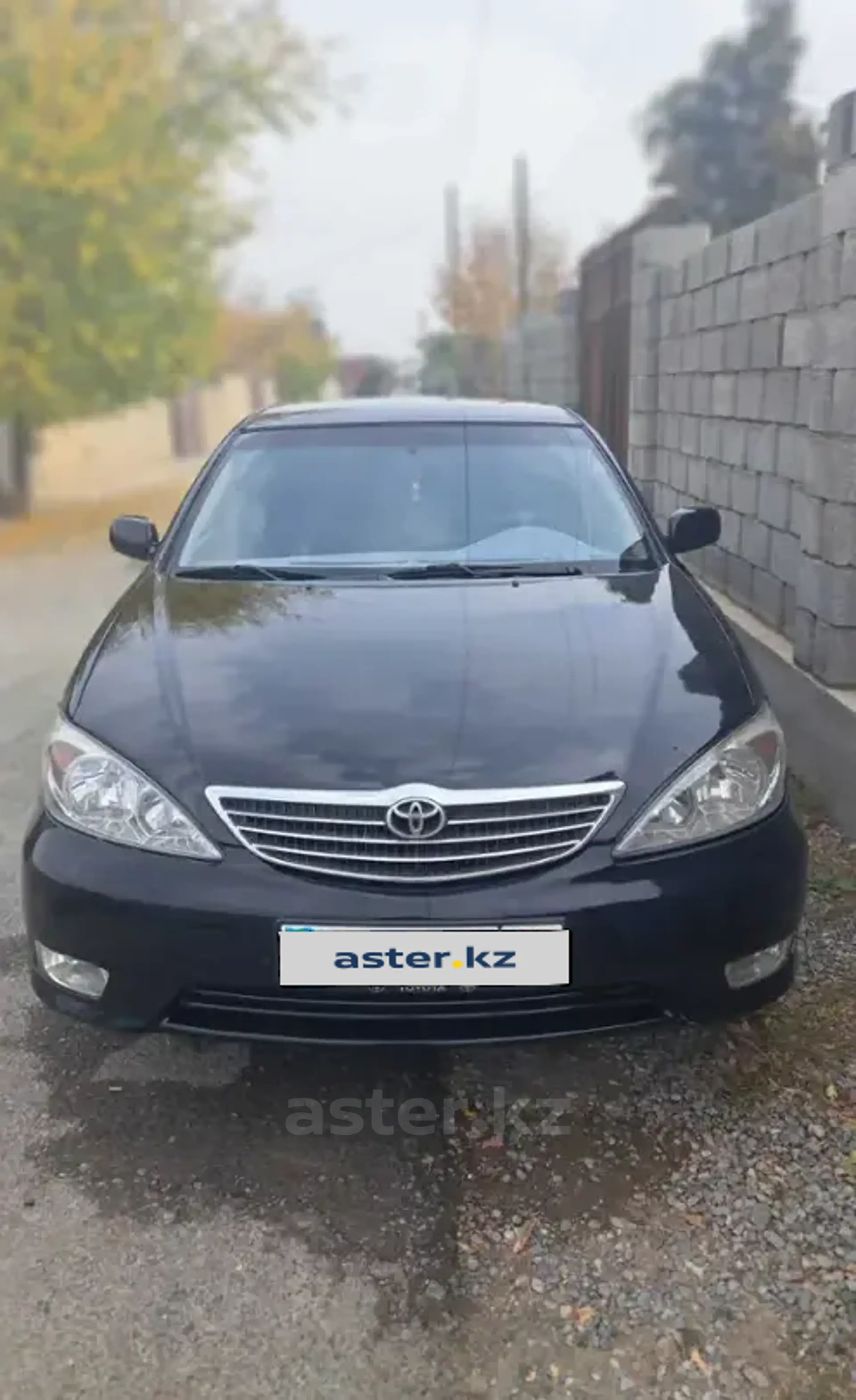 Toyota Camry 2004 года за 4 200 000 тг. в Шымкент фото 1
