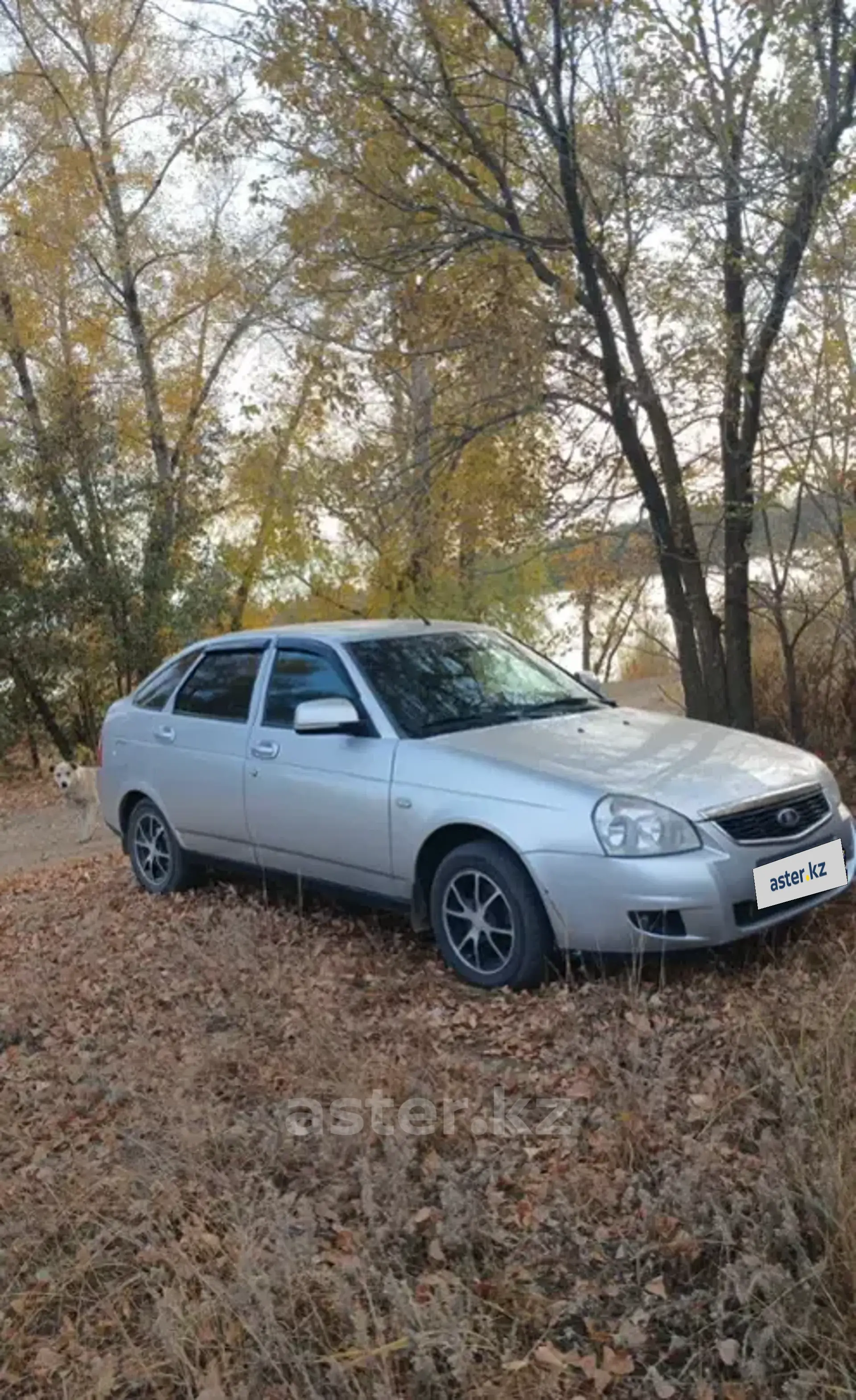 LADA (ВАЗ) Priora 2011 года за 2 450 000 тг. в Актобе фото 1
