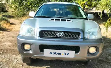 Hyundai Santa Fe 2003 года за 3 200 000 тг. в Шымкент фото 2