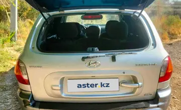 Hyundai Santa Fe 2003 года за 3 200 000 тг. в Шымкент